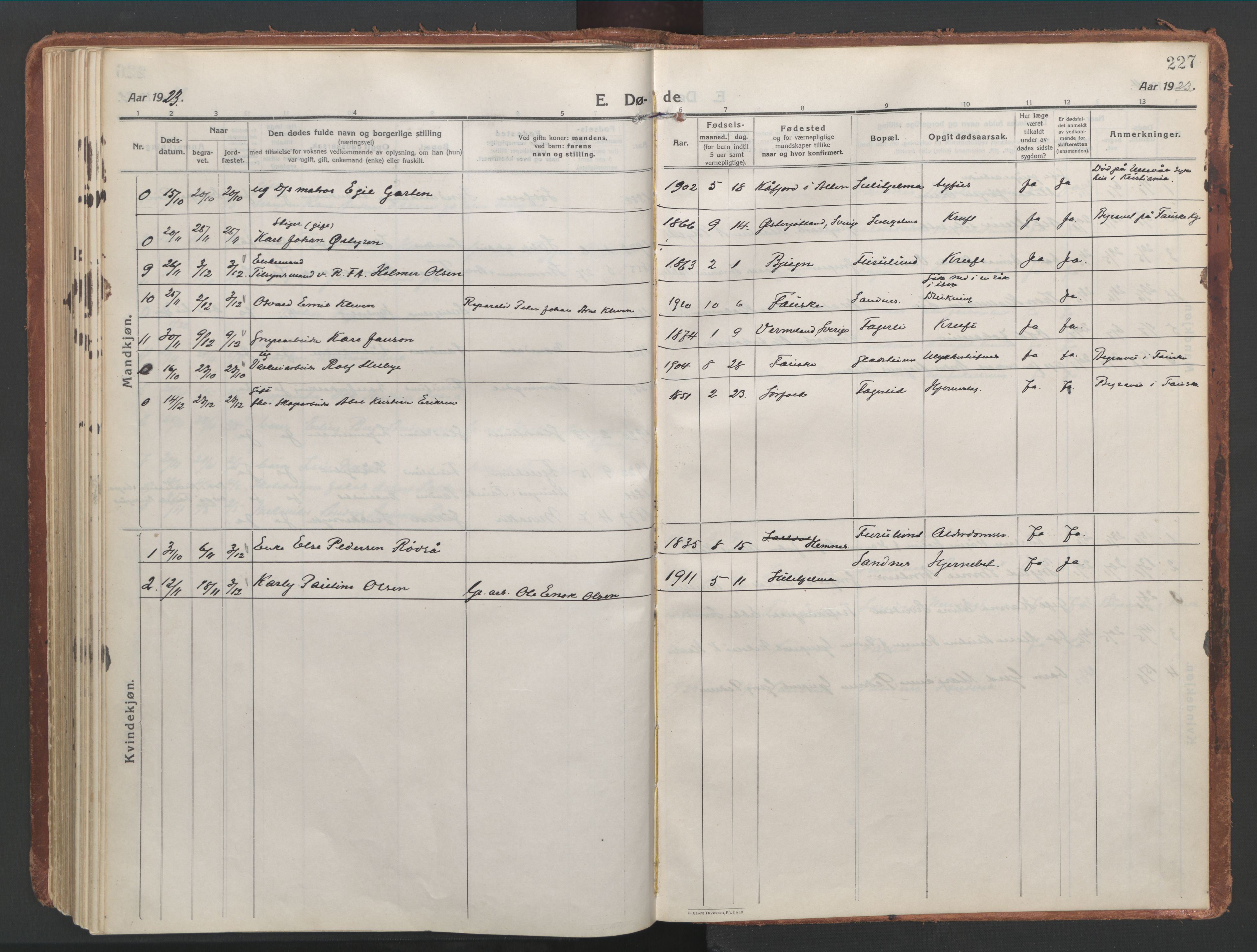 Ministerialprotokoller, klokkerbøker og fødselsregistre - Nordland, AV/SAT-A-1459/850/L0715: Curate's parish register no. 850B05, 1913-1924, p. 227