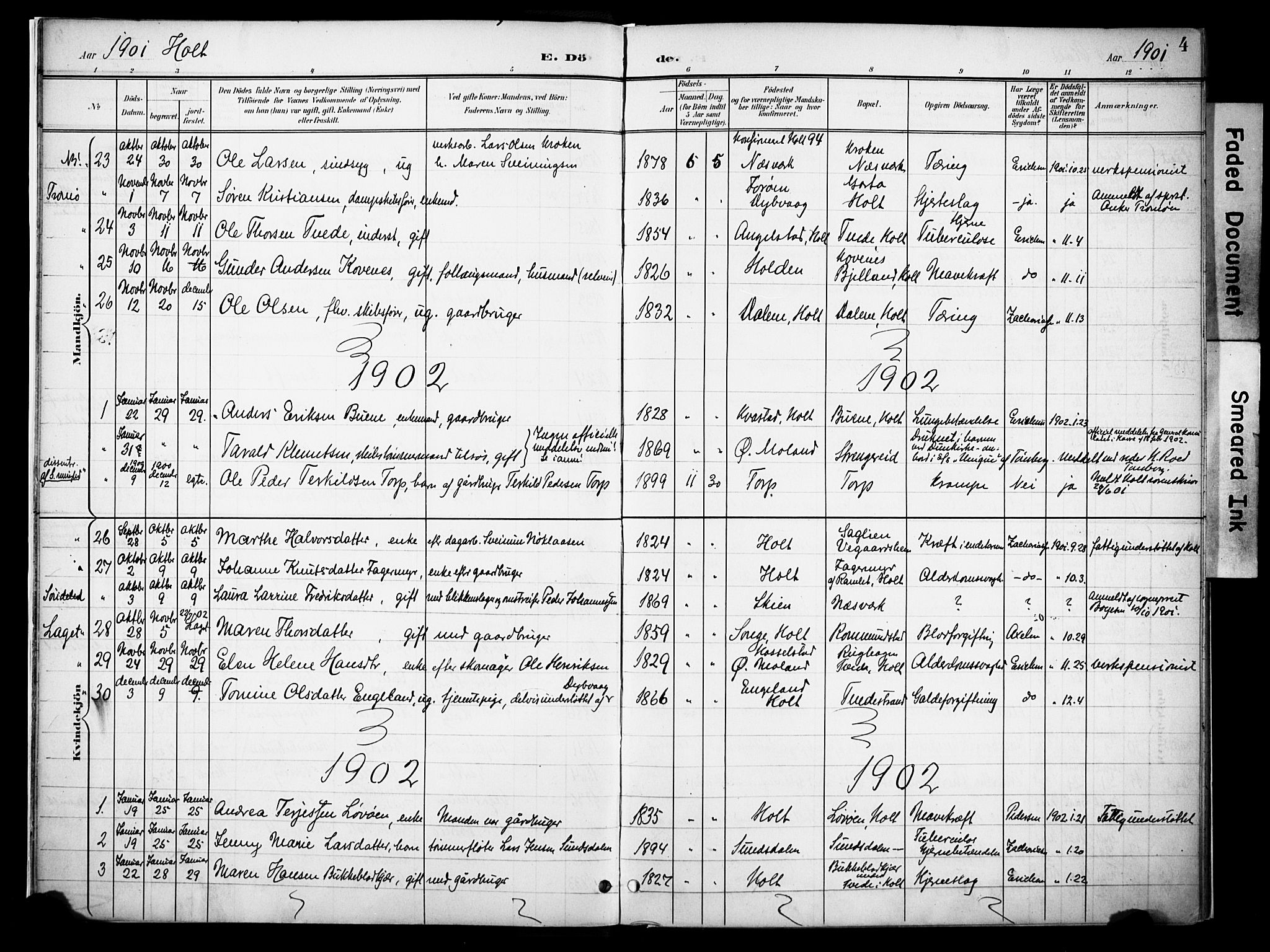 Holt sokneprestkontor, AV/SAK-1111-0021/F/Fa/L0013: Parish register (official) no. A 13, 1900-1912, p. 4