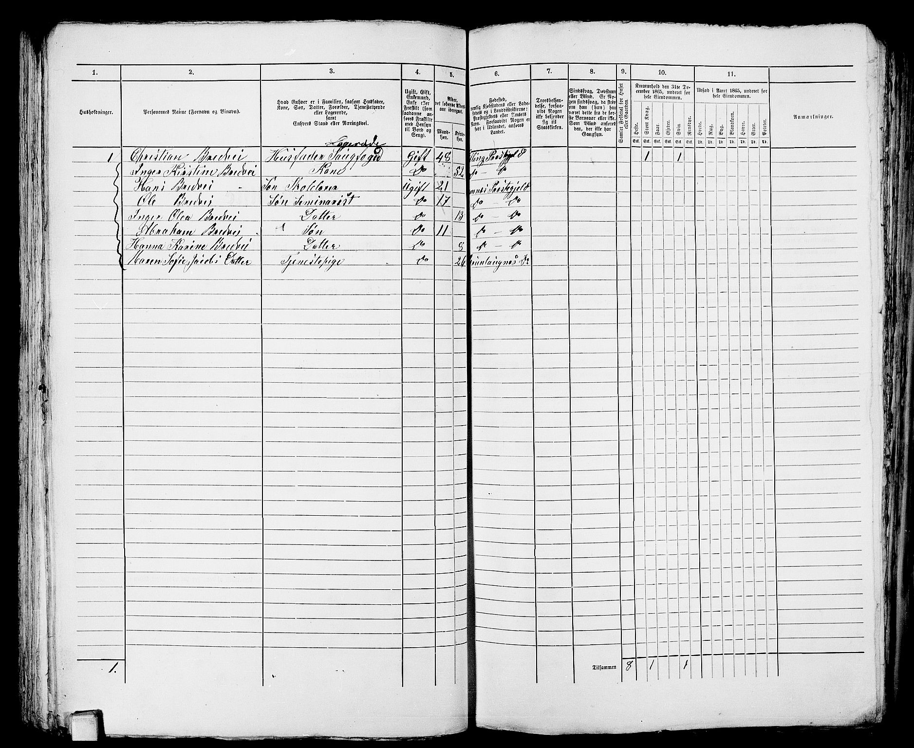 RA, 1865 census for Larvik, 1865, p. 784