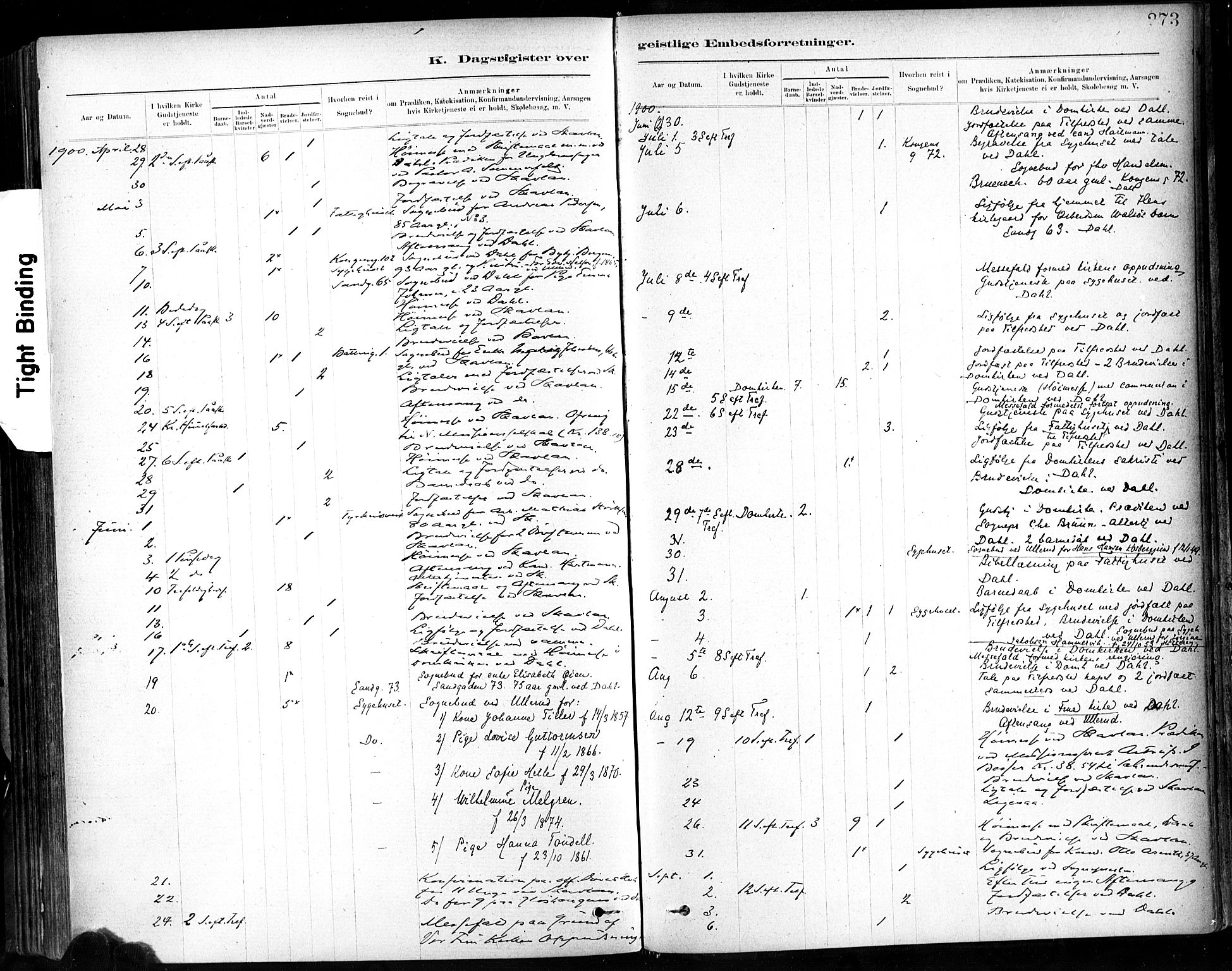 Ministerialprotokoller, klokkerbøker og fødselsregistre - Sør-Trøndelag, SAT/A-1456/602/L0120: Parish register (official) no. 602A18, 1880-1913, p. 273