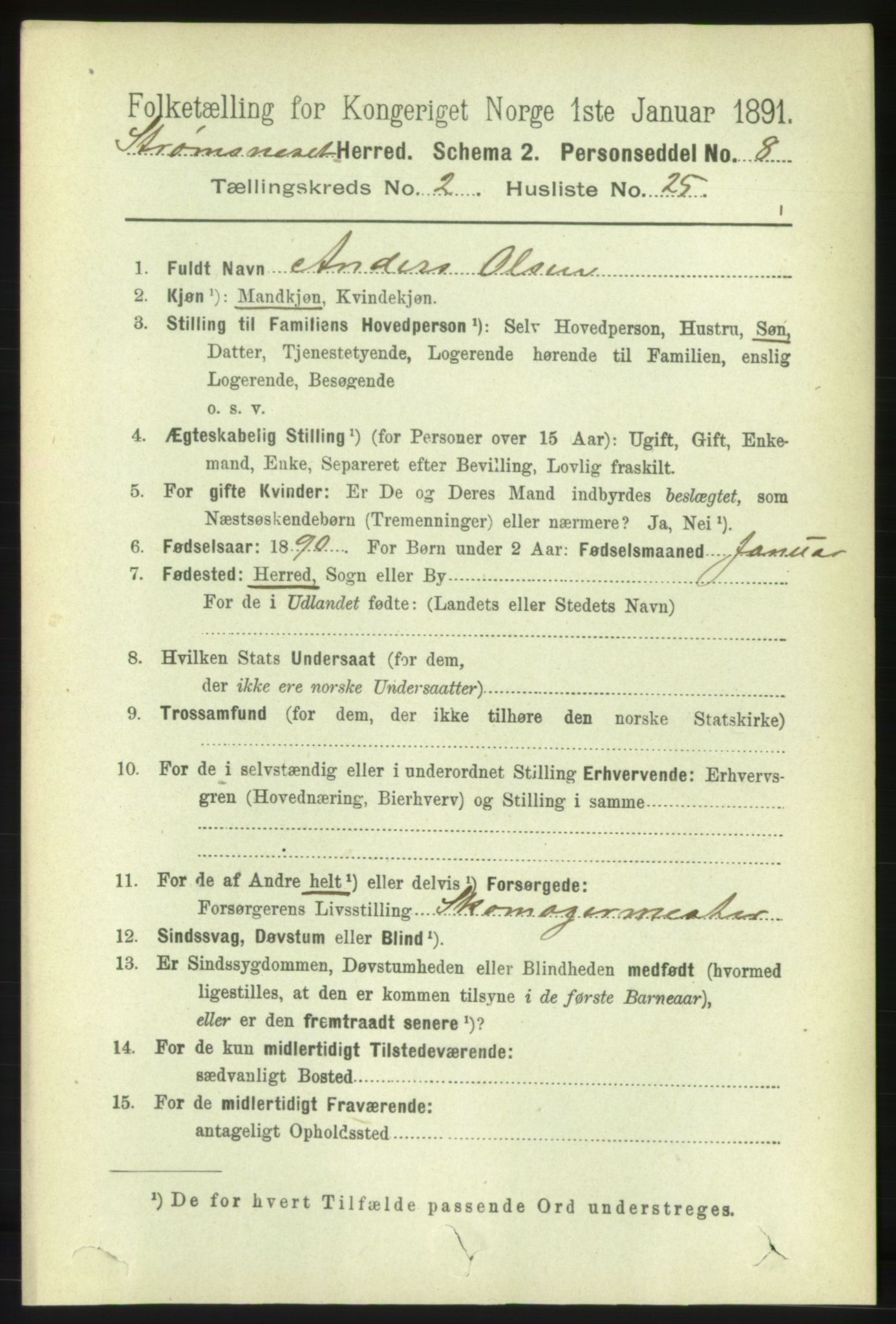 RA, 1891 census for 1559 Straumsnes, 1891, p. 415