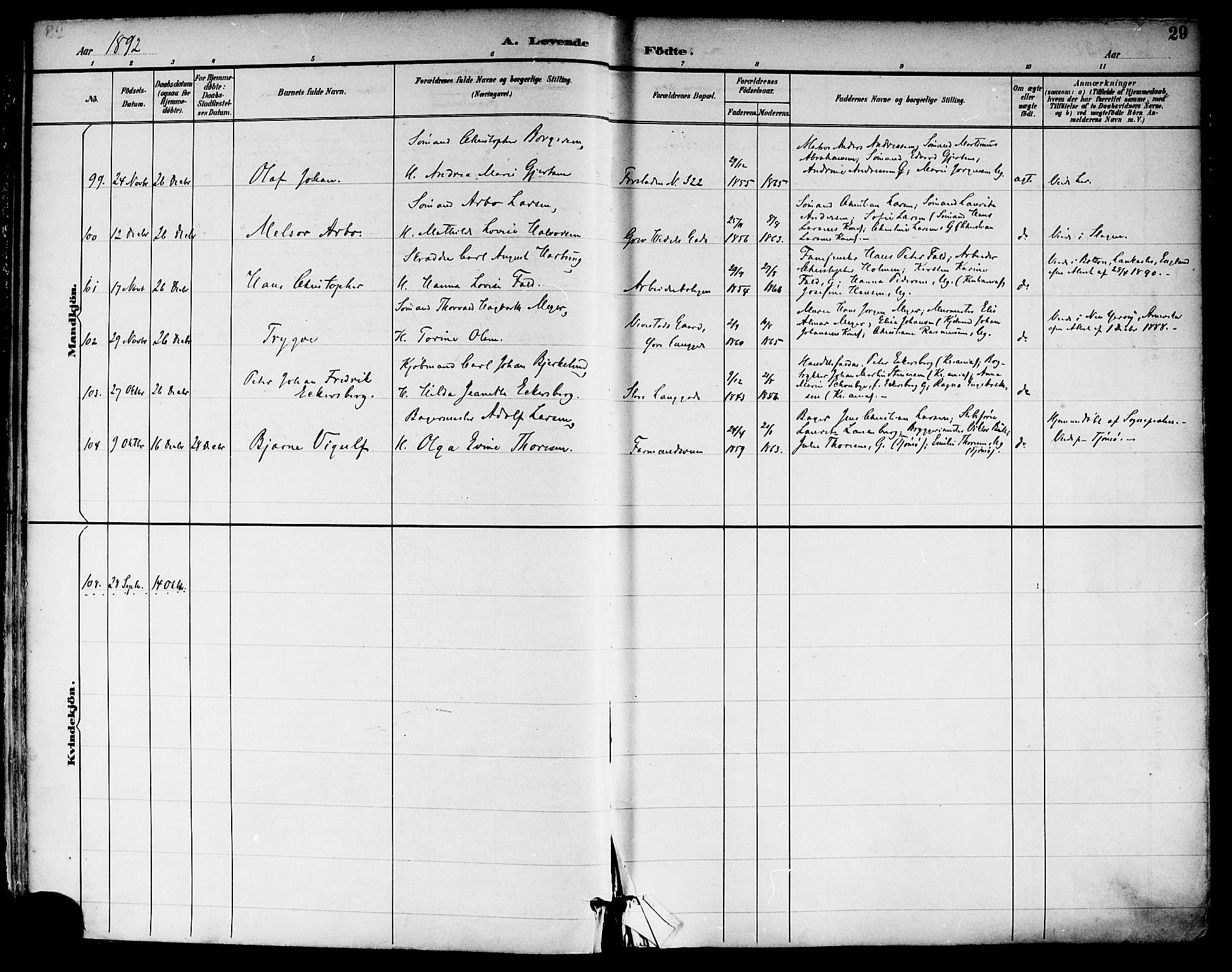 Tønsberg kirkebøker, AV/SAKO-A-330/F/Fa/L0012: Parish register (official) no. I 12, 1891-1899, p. 29