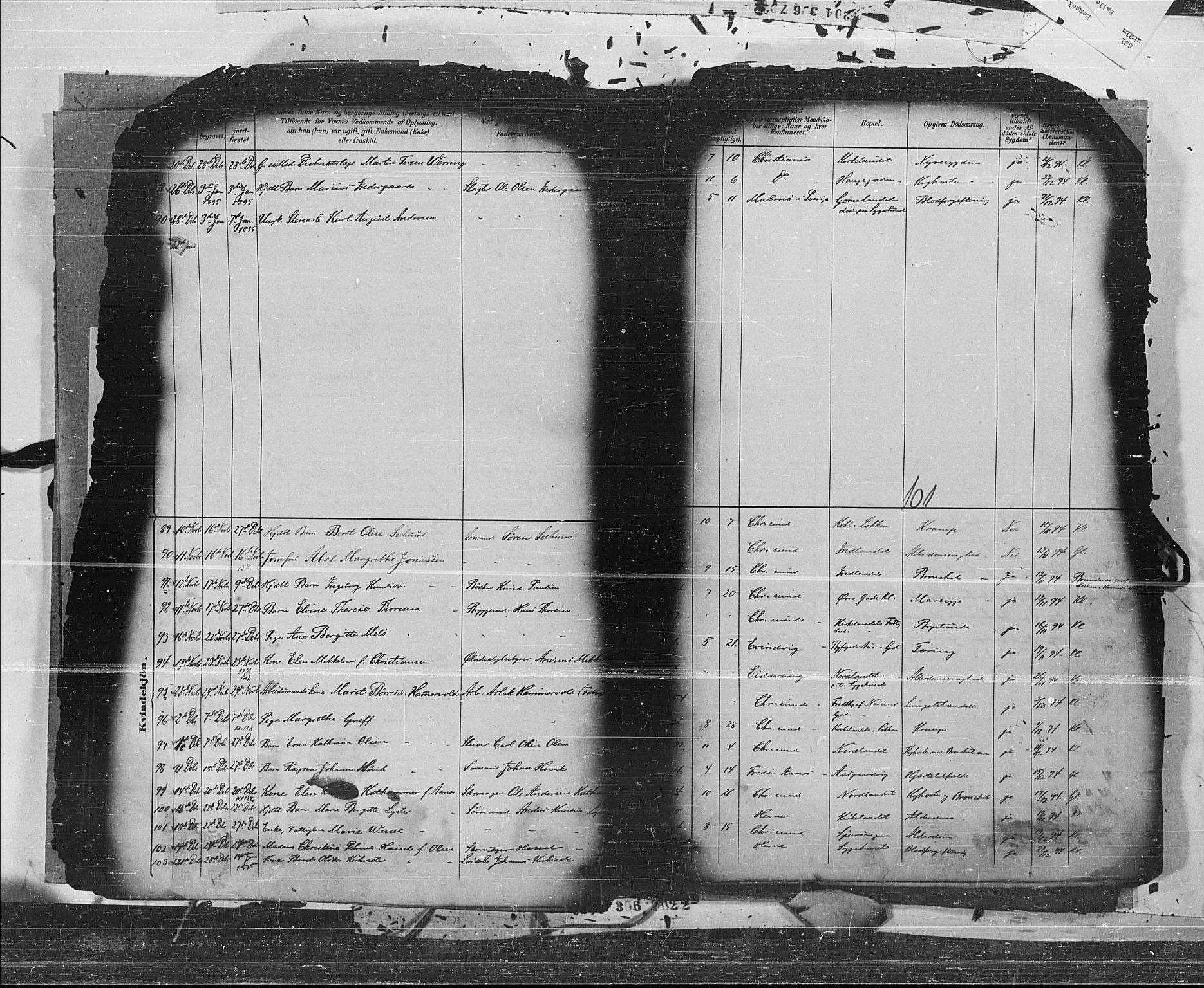 Ministerialprotokoller, klokkerbøker og fødselsregistre - Møre og Romsdal, AV/SAT-A-1454/572/L0853: Parish register (official) no. 572A16, 1880-1901, p. 101