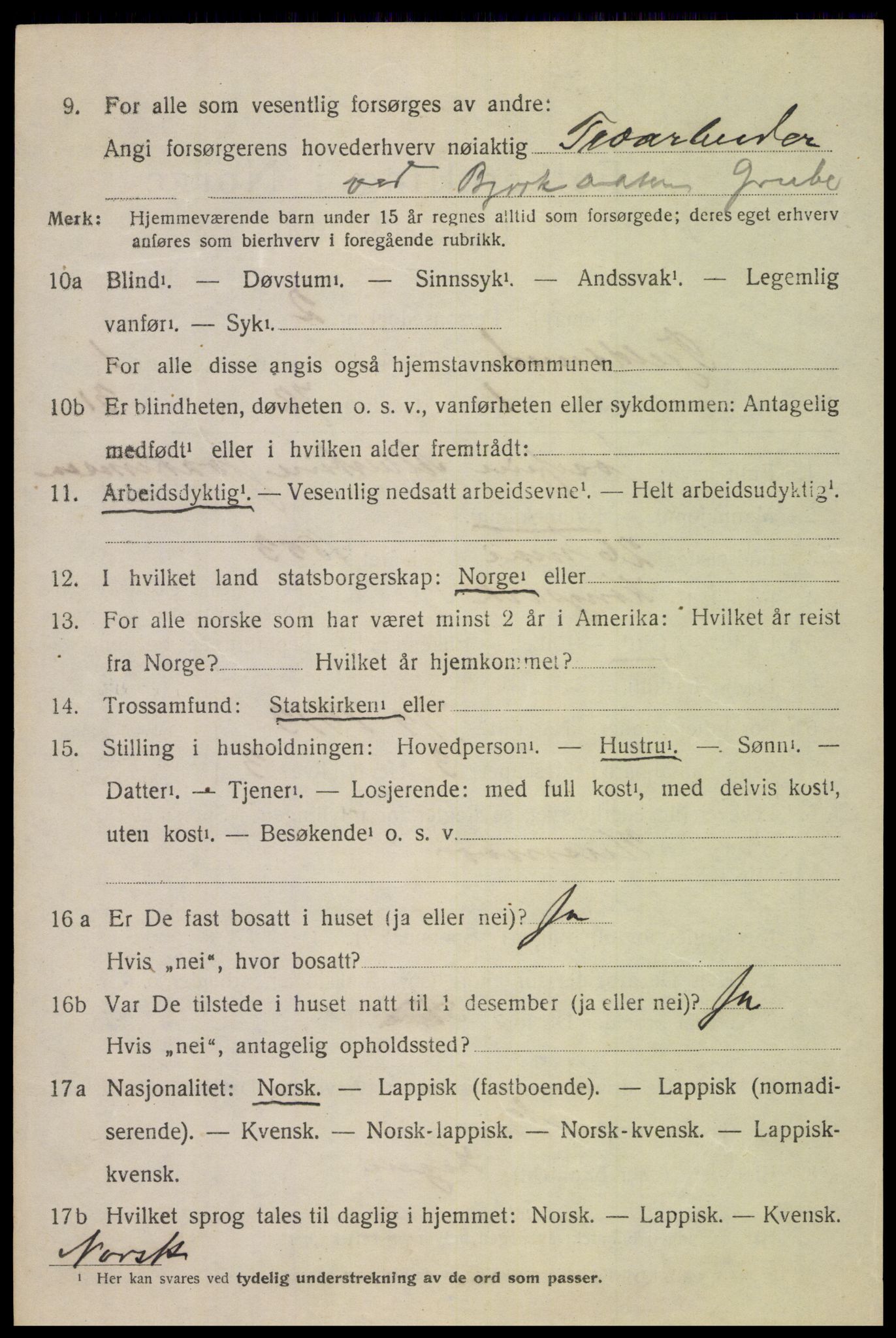 SAT, 1920 census for Tjeldsund, 1920, p. 503