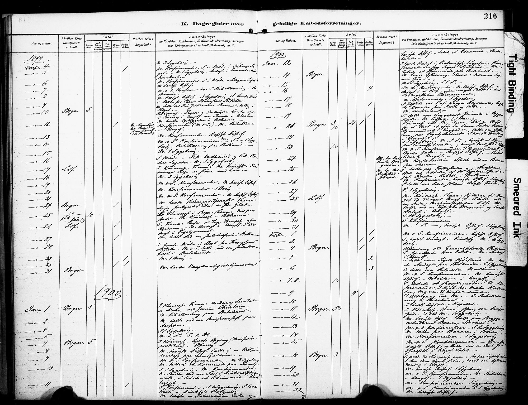 Bragernes kirkebøker, AV/SAKO-A-6/F/Fc/L0006: Parish register (official) no. III 6, 1888-1899, p. 216