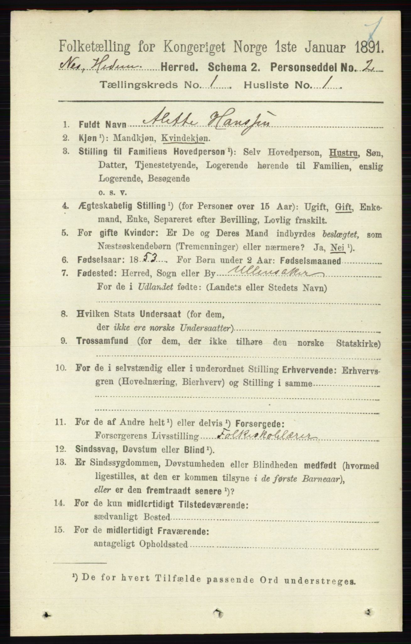 RA, 1891 census for 0411 Nes, 1891, p. 160