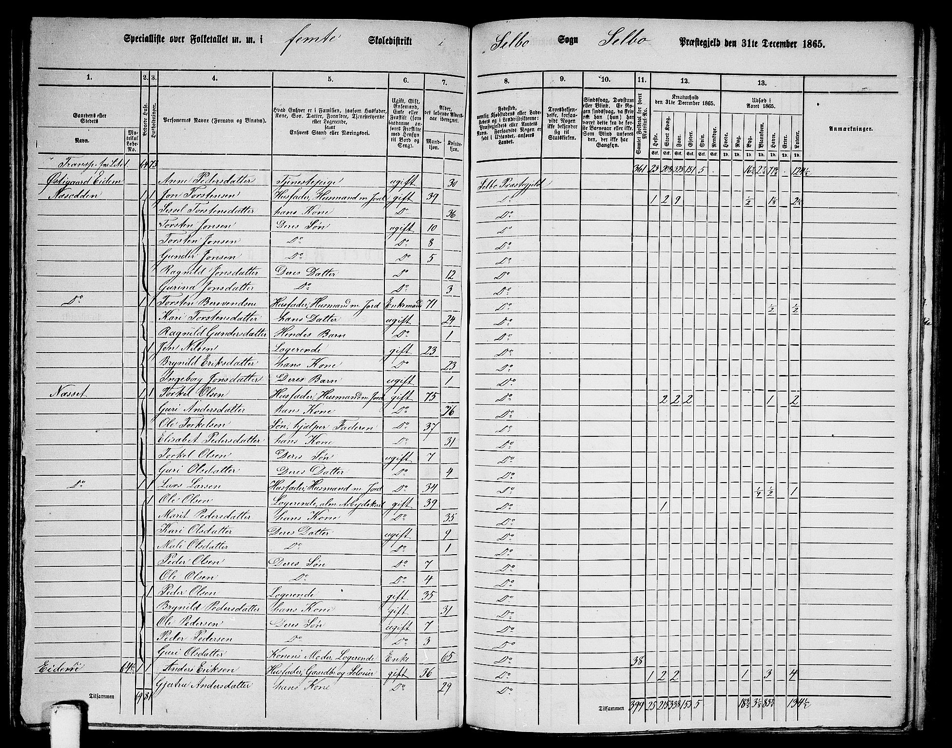 RA, 1865 census for Selbu, 1865, p. 79