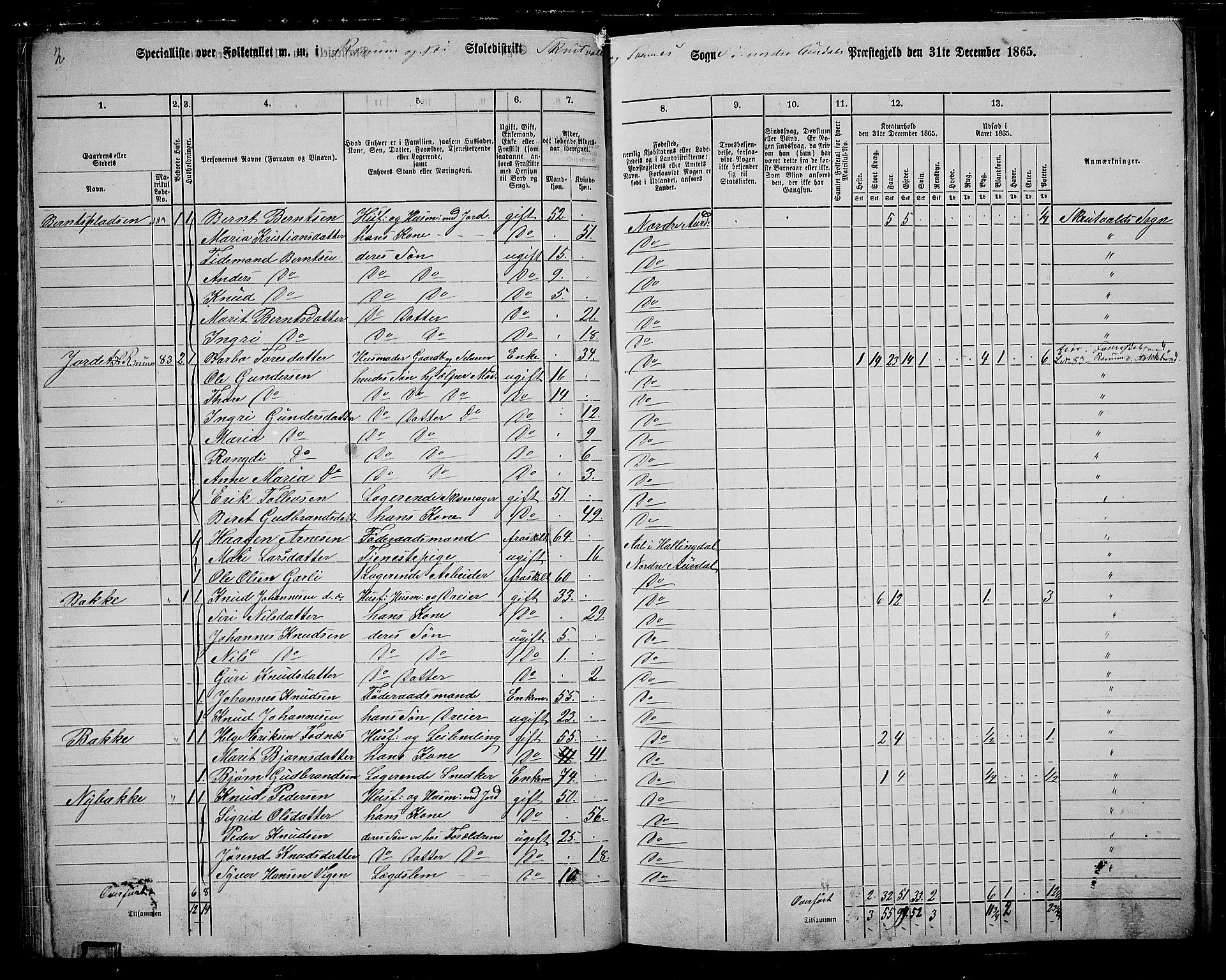 RA, 1865 census for Nord-Aurdal, 1865, p. 63