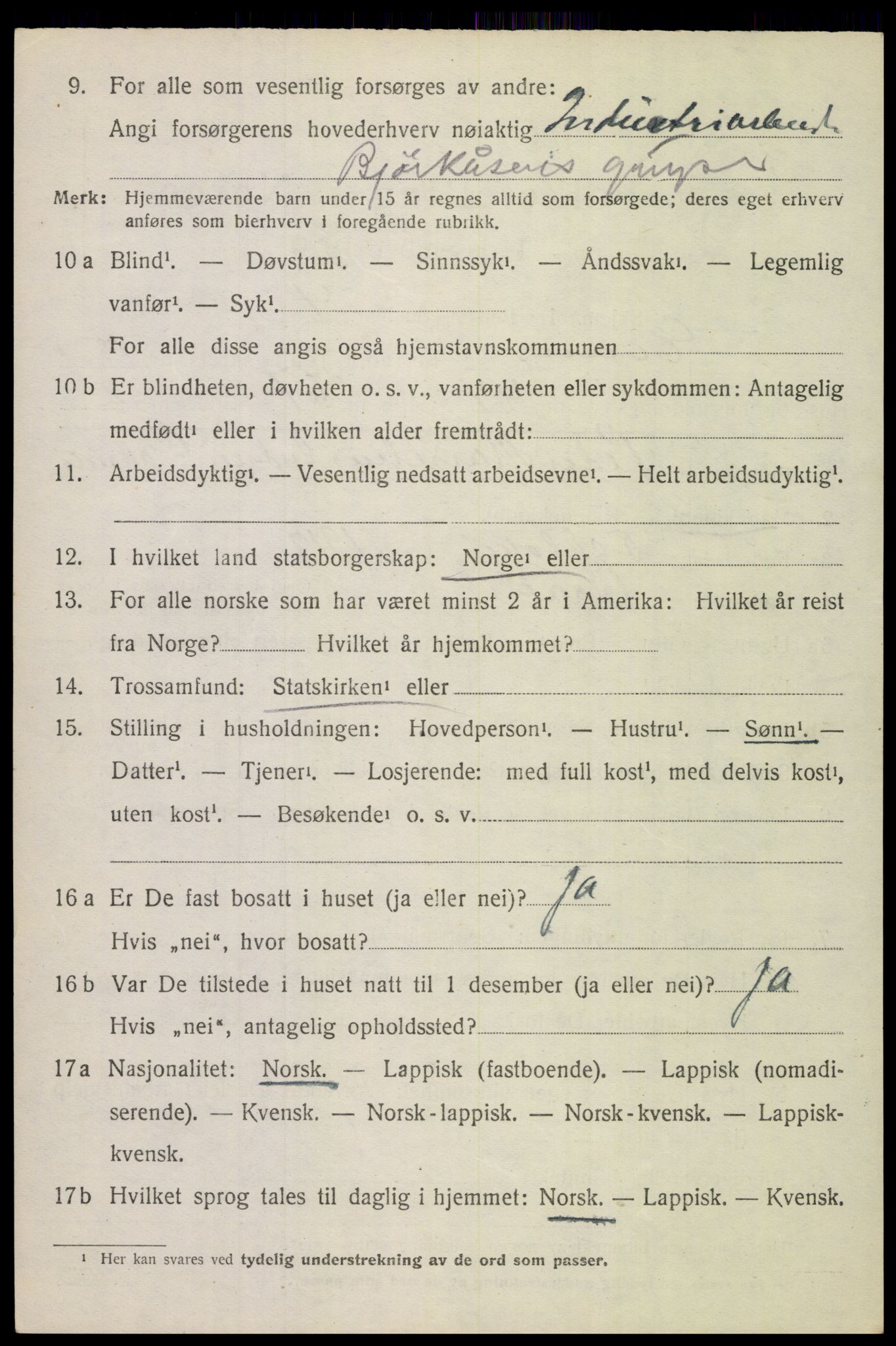 SAT, 1920 census for Evenes, 1920, p. 13177