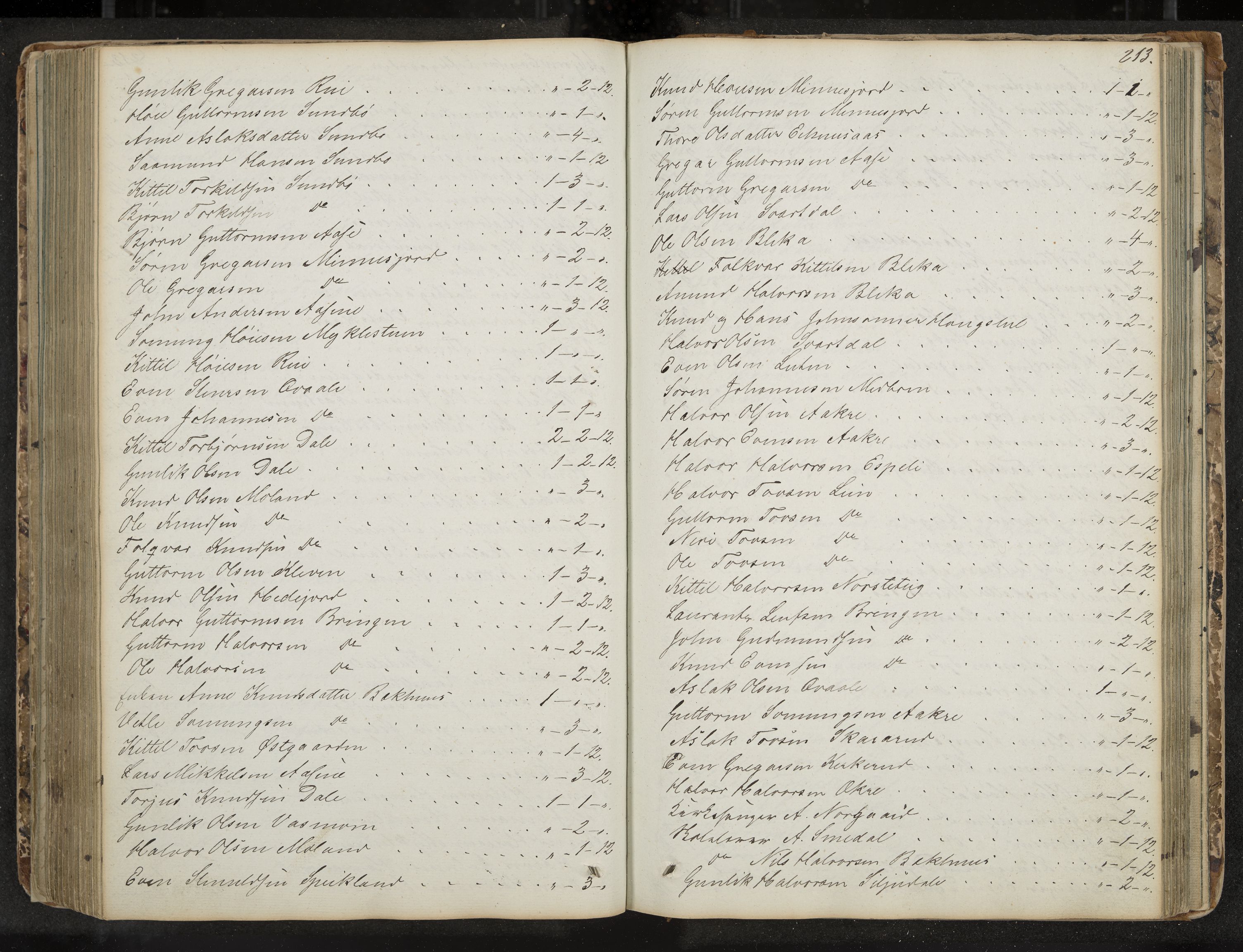 Seljord formannskap og sentraladministrasjon, IKAK/0828021/A/Aa/L0001: Møtebok med register, 1838-1879, p. 213