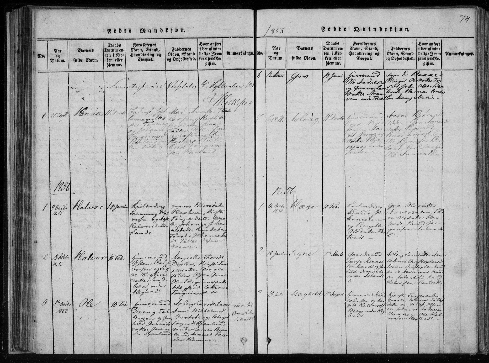 Lårdal kirkebøker, SAKO/A-284/F/Fa/L0005: Parish register (official) no. I 5, 1815-1860, p. 74