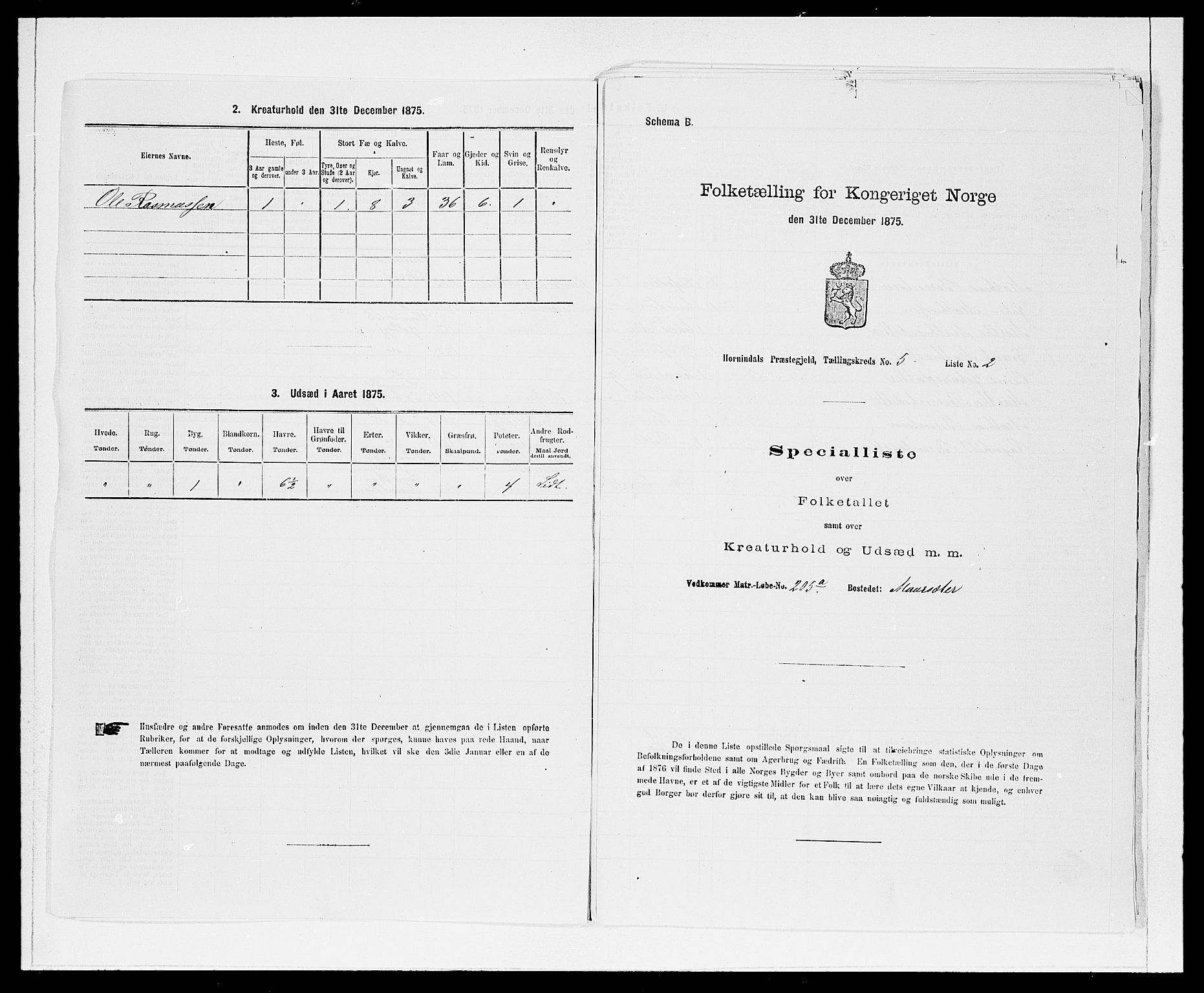 SAB, 1875 Census for 1444P Hornindal, 1875, p. 553