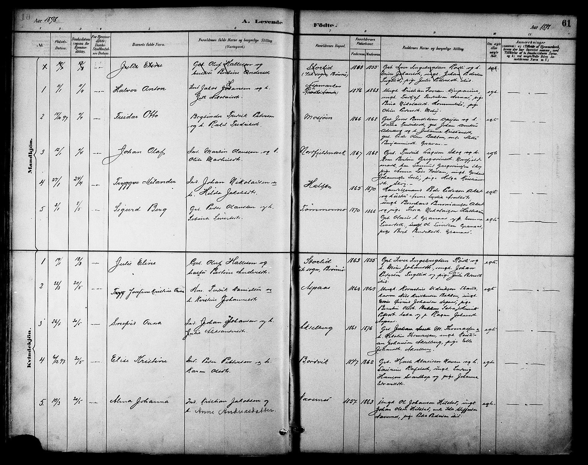 Ministerialprotokoller, klokkerbøker og fødselsregistre - Nordland, SAT/A-1459/814/L0230: Parish register (copy) no. 814C03, 1884-1911, p. 61