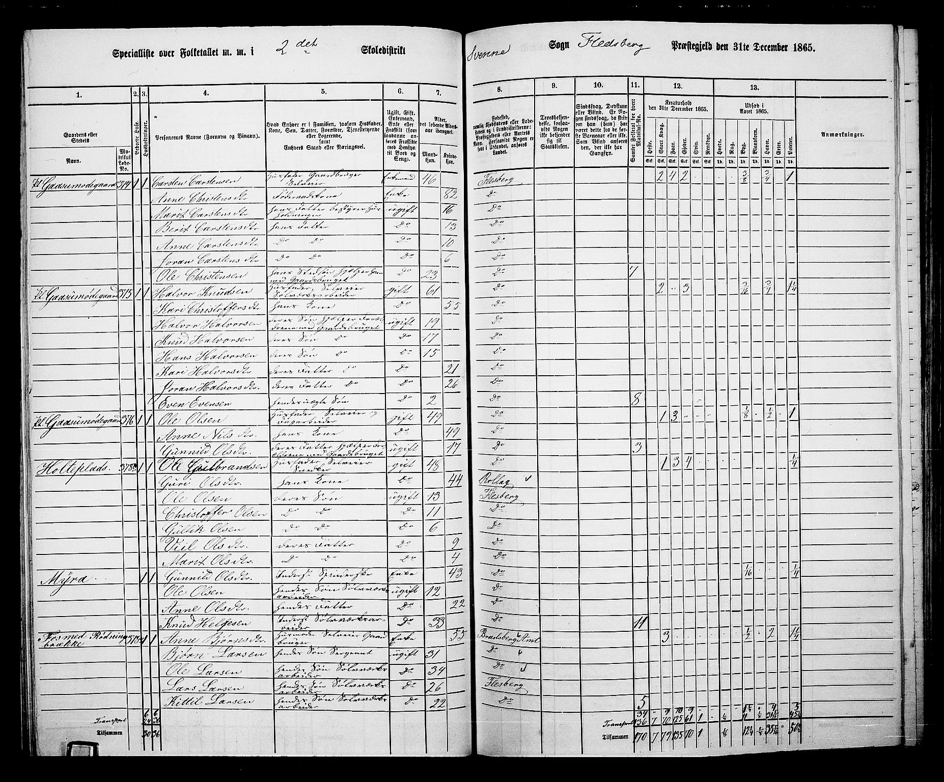 RA, 1865 census for Flesberg, 1865, p. 58