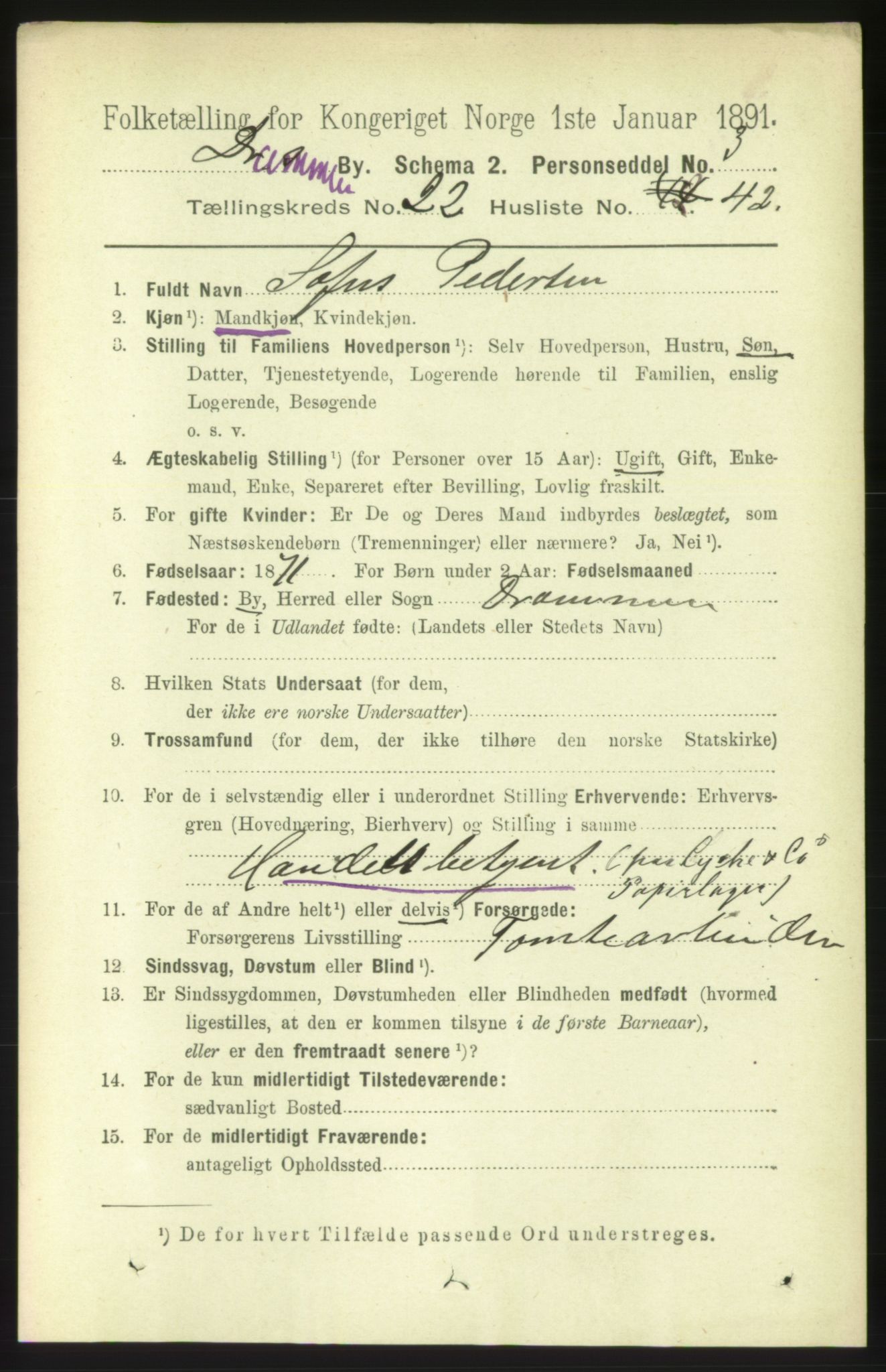 RA, 1891 census for 0602 Drammen, 1891, p. 14053