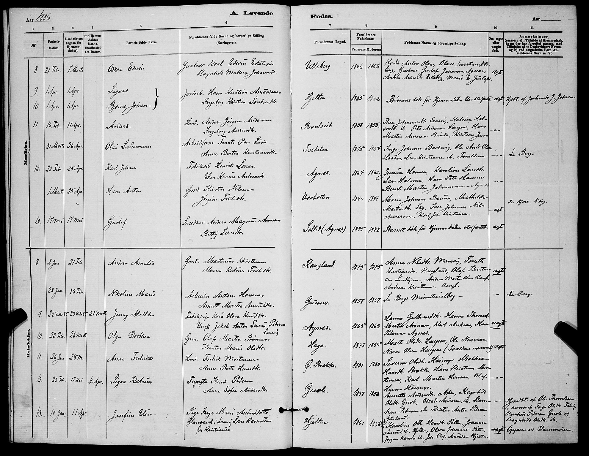 Brunlanes kirkebøker, AV/SAKO-A-342/G/Ga/L0003: Parish register (copy) no. I 3, 1877-1898