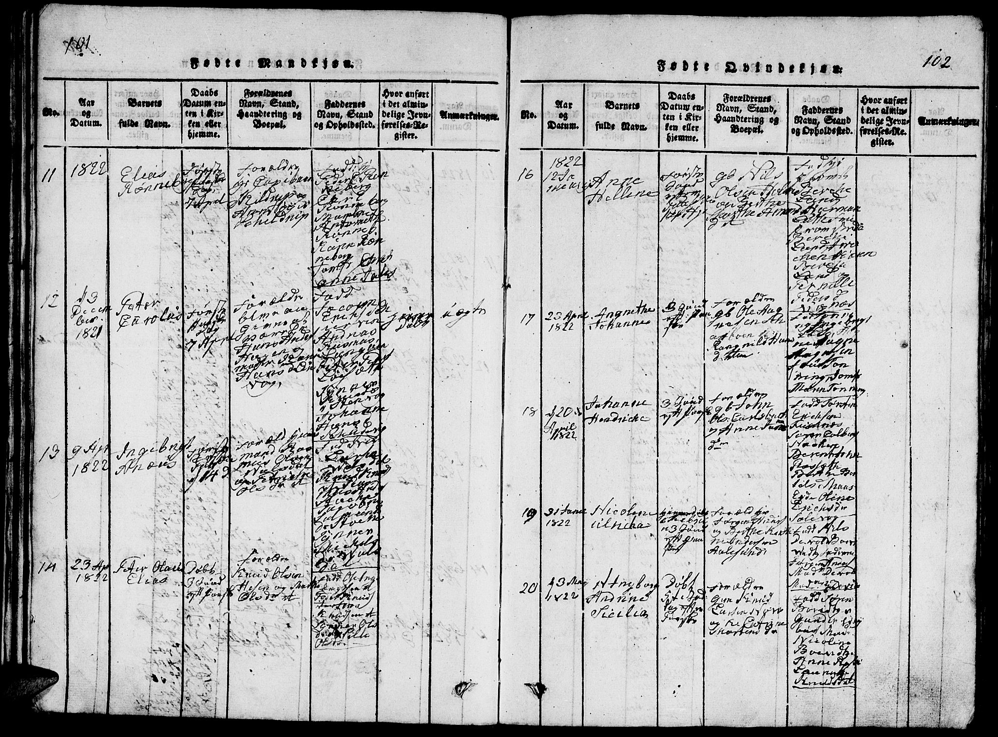 Ministerialprotokoller, klokkerbøker og fødselsregistre - Møre og Romsdal, AV/SAT-A-1454/528/L0423: Parish register (copy) no. 528C04, 1816-1827, p. 101-102