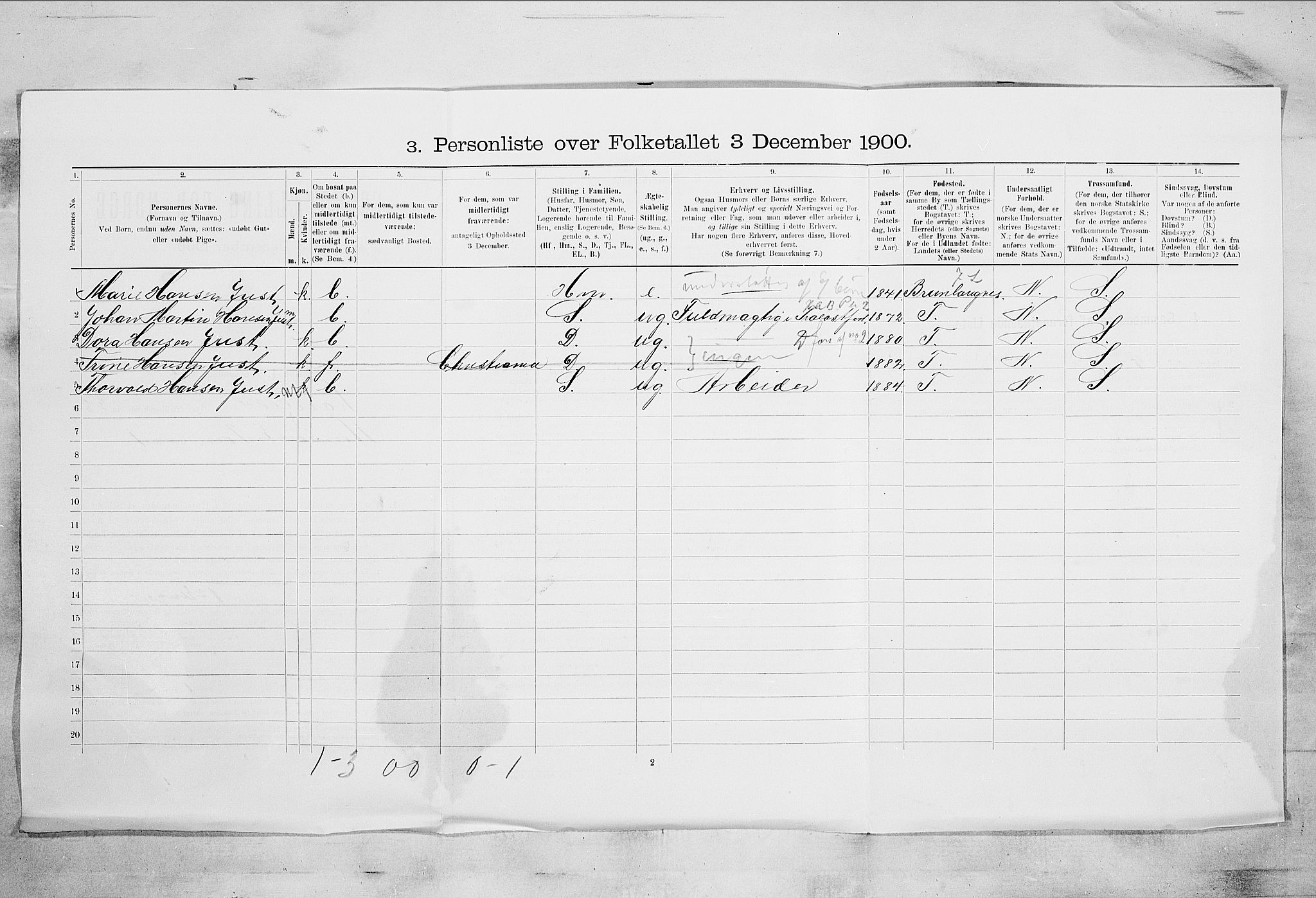 RA, 1900 census for Larvik, 1900, p. 5101