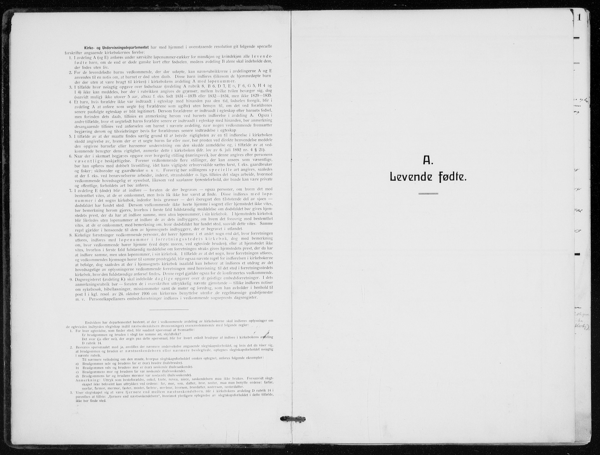 Kampen prestekontor Kirkebøker, SAO/A-10853/F/Fa/L0012: Parish register (official) no. I 12, 1916-1921
