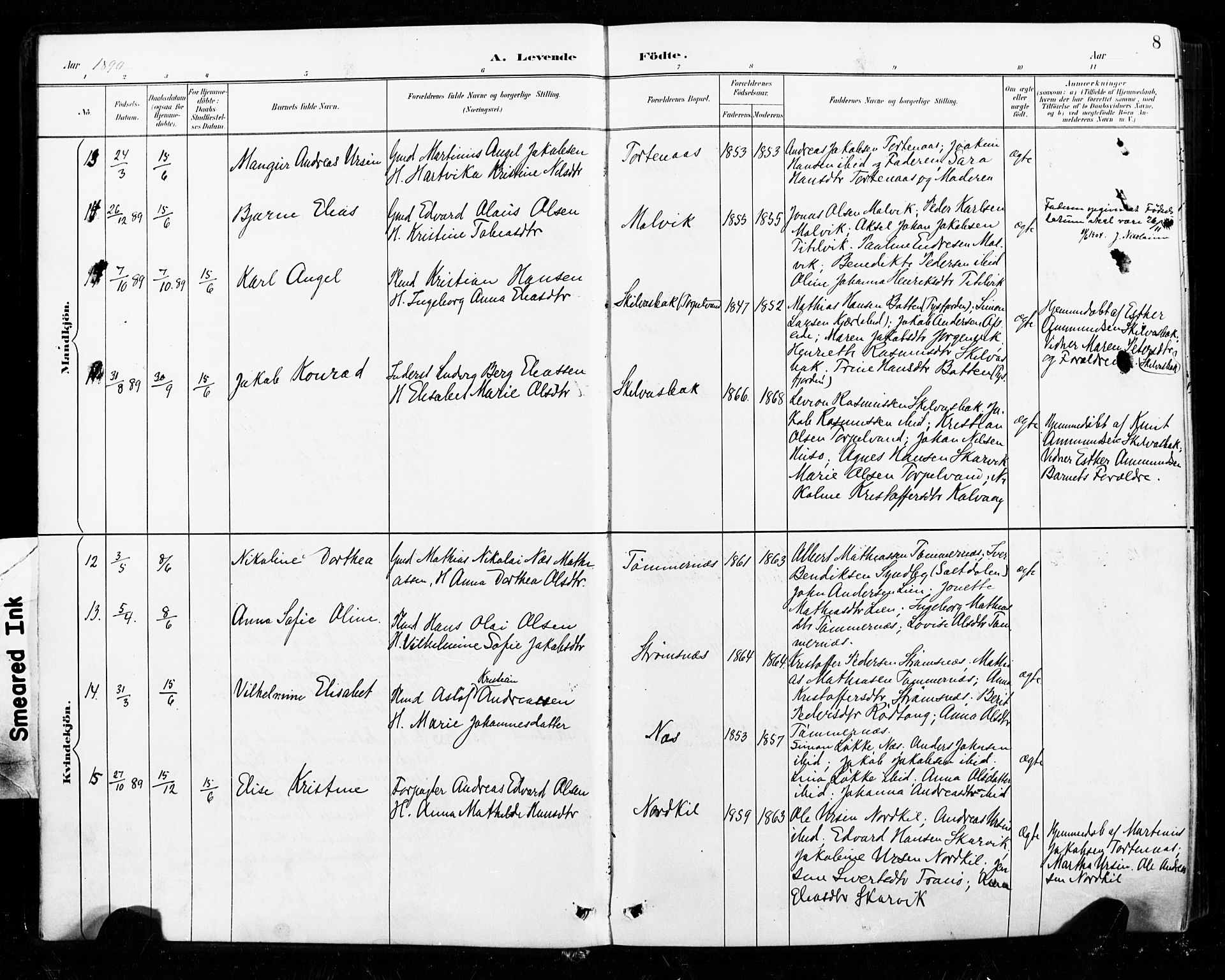 Ministerialprotokoller, klokkerbøker og fødselsregistre - Nordland, AV/SAT-A-1459/859/L0847: Parish register (official) no. 859A07, 1890-1899, p. 8