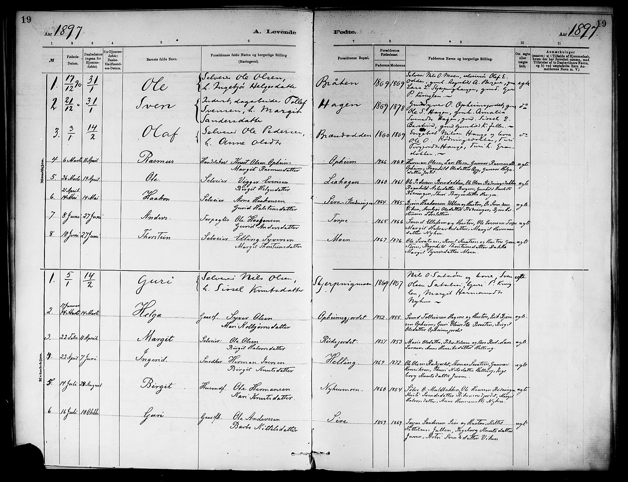 Ål kirkebøker, SAKO/A-249/F/Fb/L0001: Parish register (official) no. II 1, 1882-1899, p. 19
