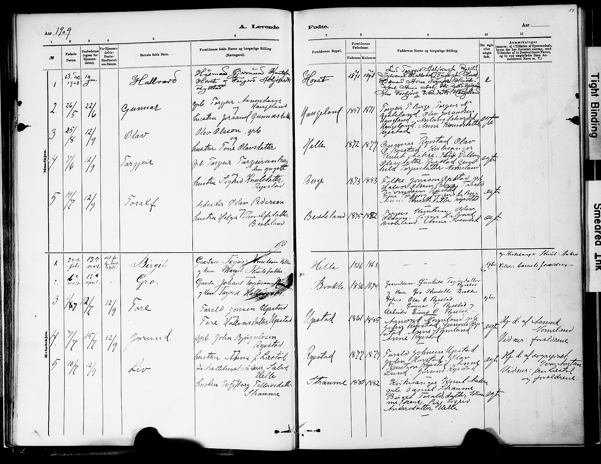 Valle sokneprestkontor, AV/SAK-1111-0044/F/Fa/Fab/L0001: Parish register (official) no. A 1, 1882-1910, p. 54