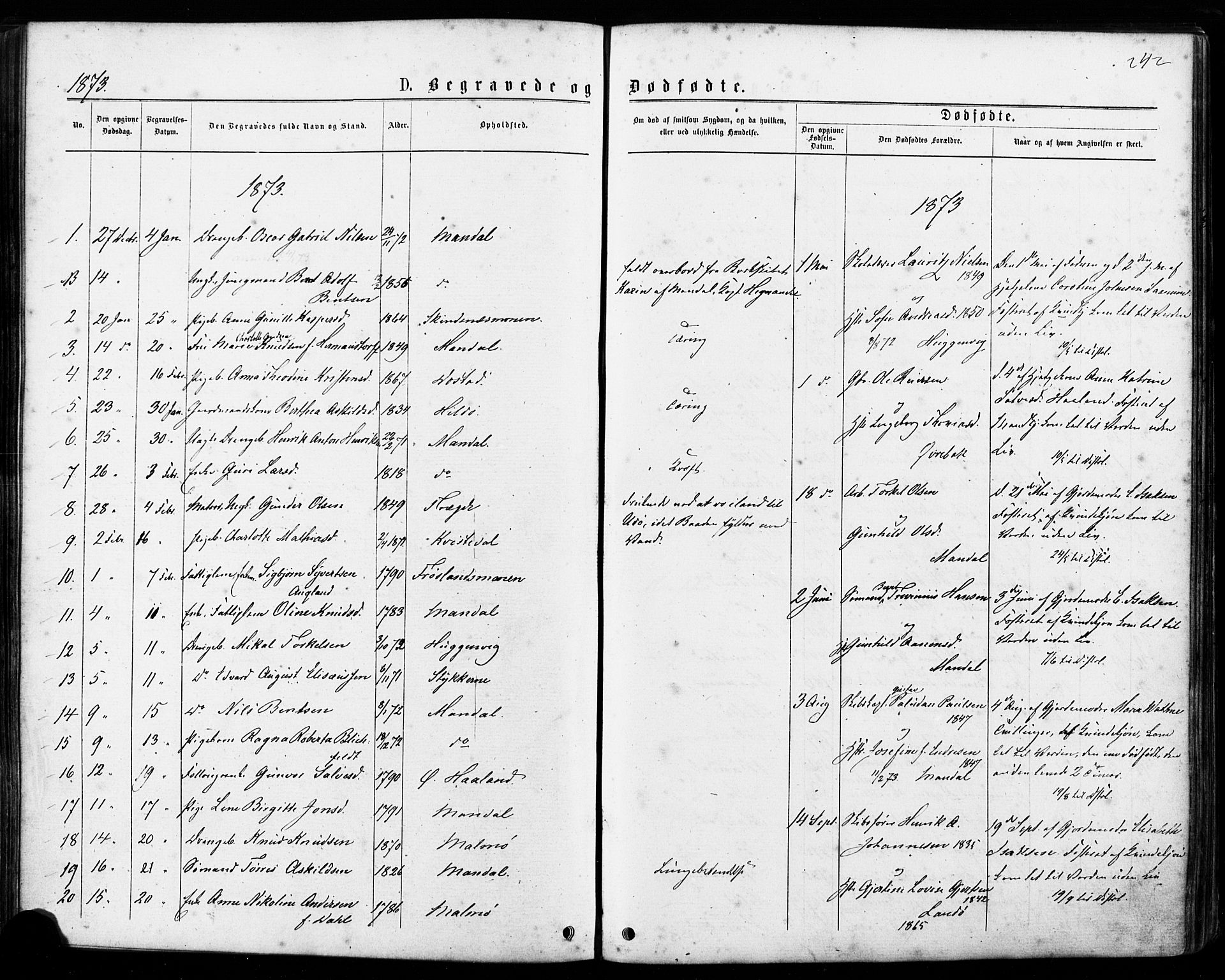 Mandal sokneprestkontor, SAK/1111-0030/F/Fa/Faa/L0015: Parish register (official) no. A 15, 1873-1879, p. 242