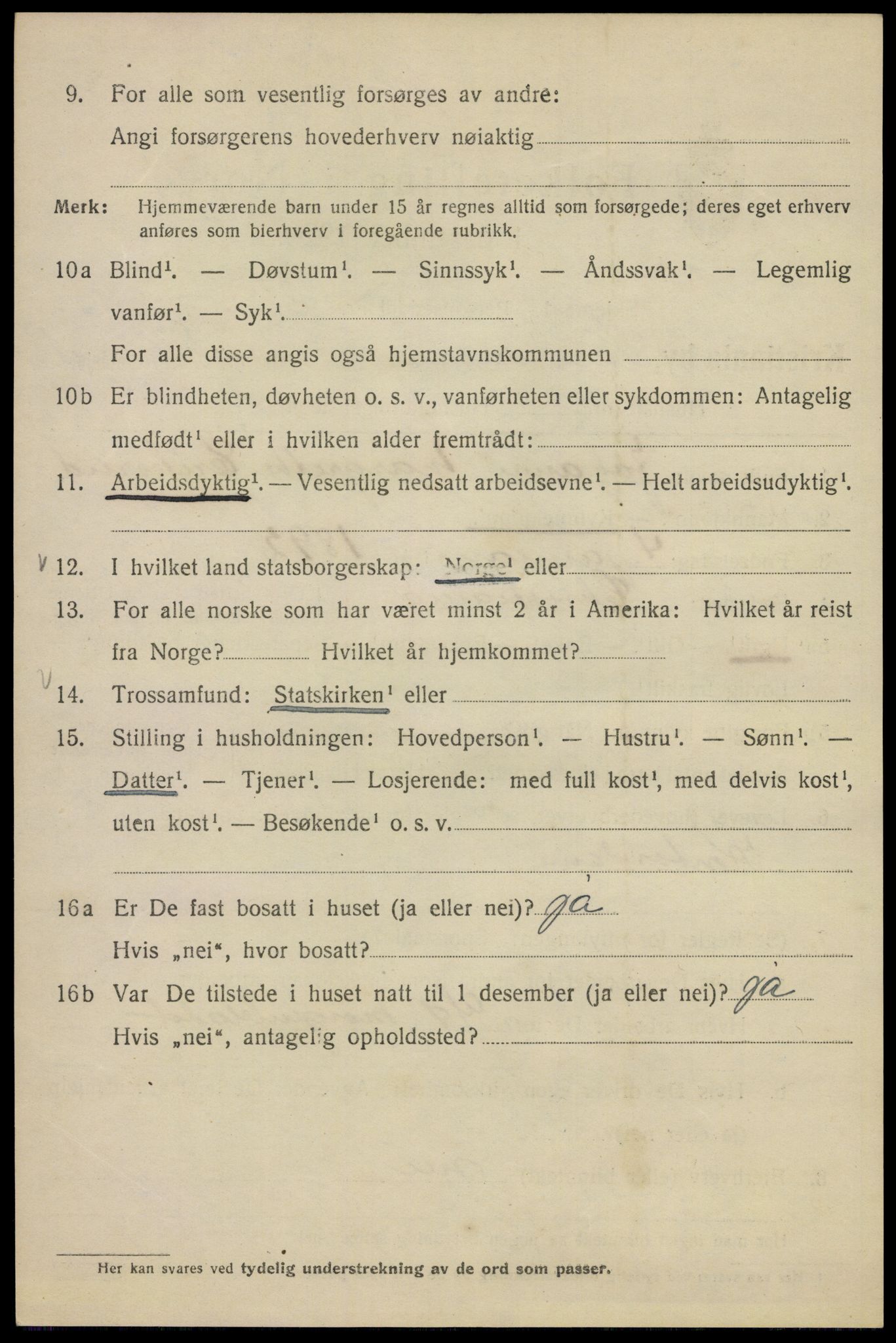 SAO, 1920 census for Kristiania, 1920, p. 528038