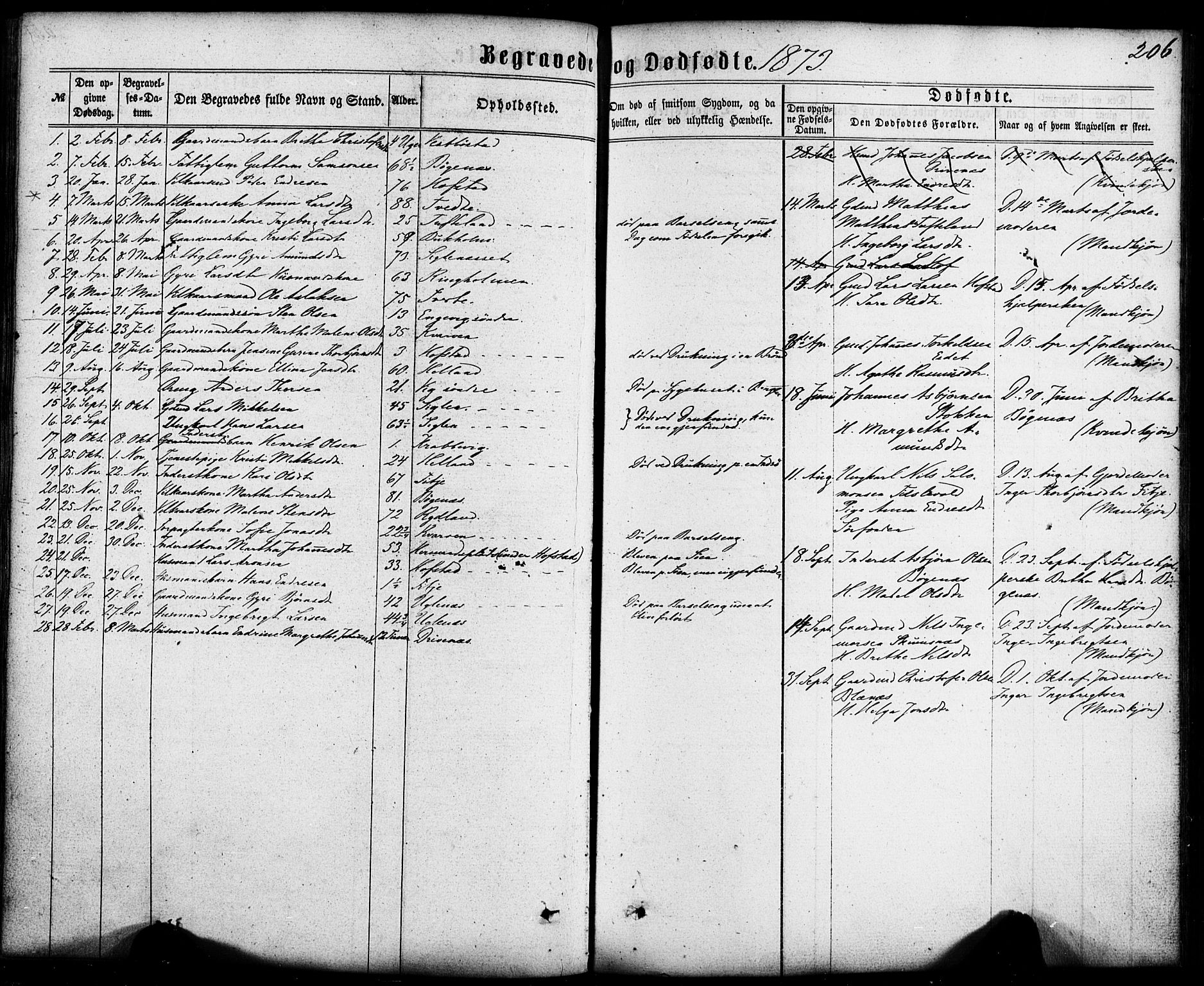 Fitjar sokneprestembete, AV/SAB-A-99926: Parish register (official) no. A 1, 1862-1881, p. 206