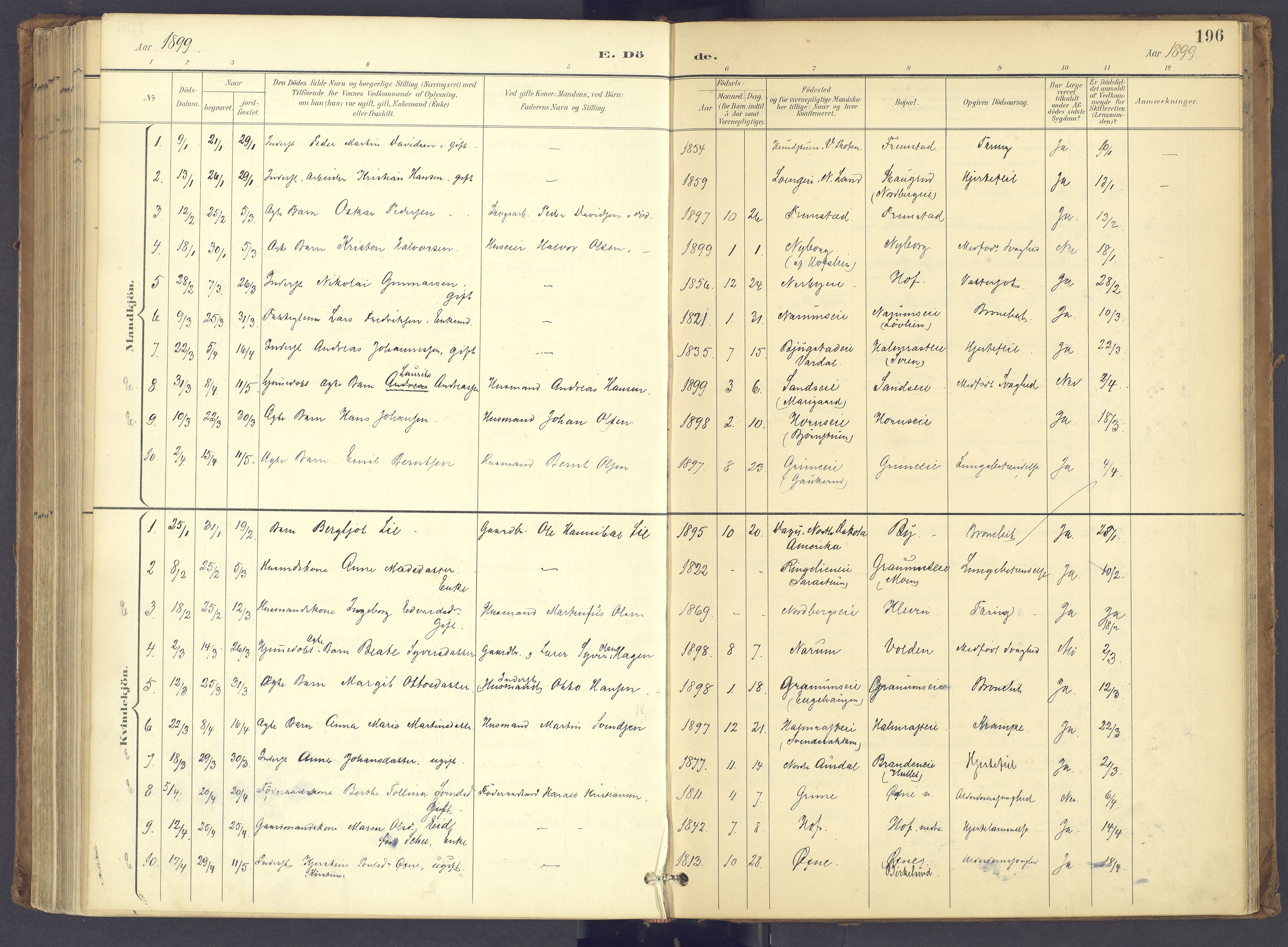 Søndre Land prestekontor, AV/SAH-PREST-122/K/L0006: Parish register (official) no. 6, 1895-1904, p. 196