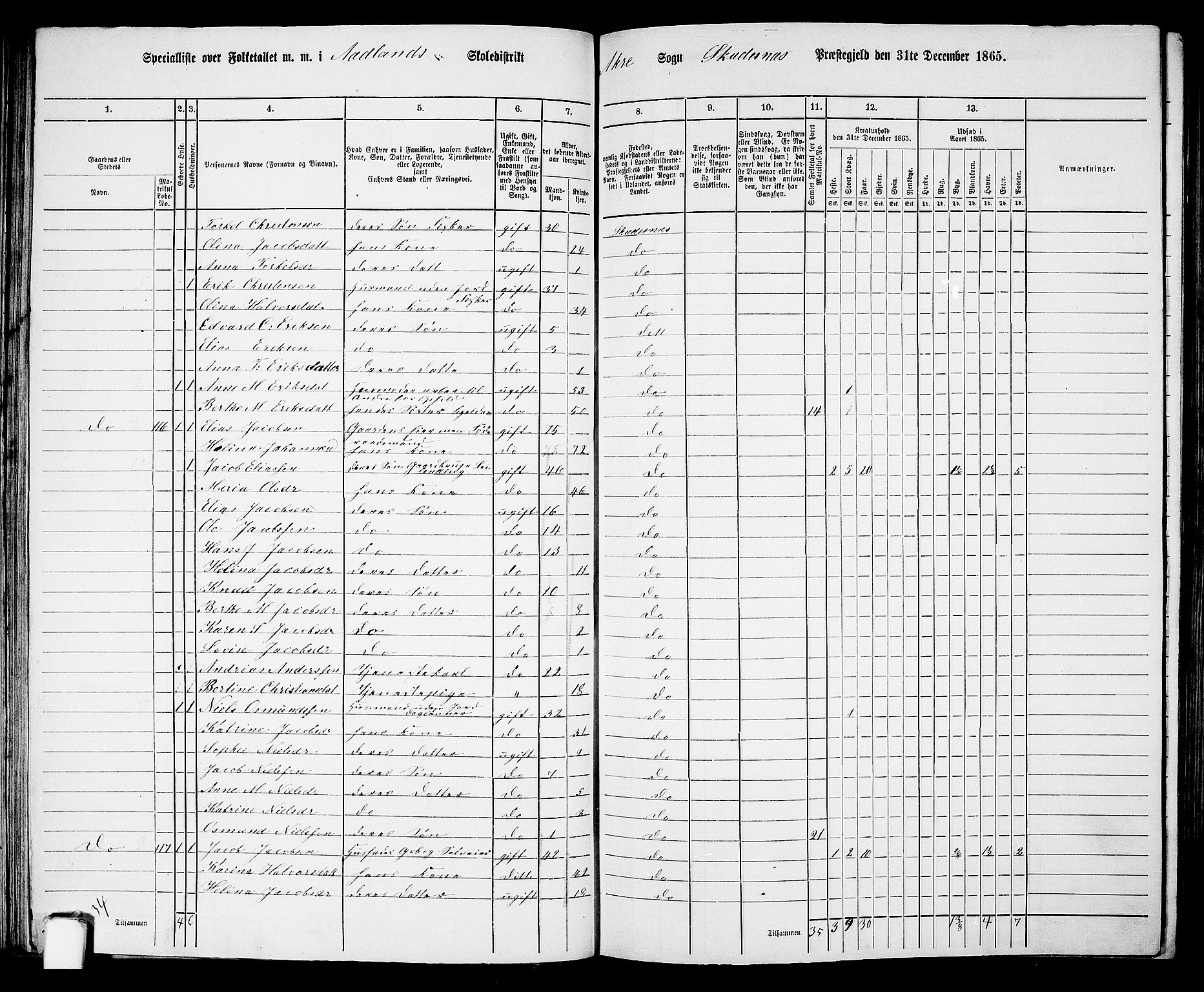 RA, 1865 census for Skudenes, 1865, p. 70