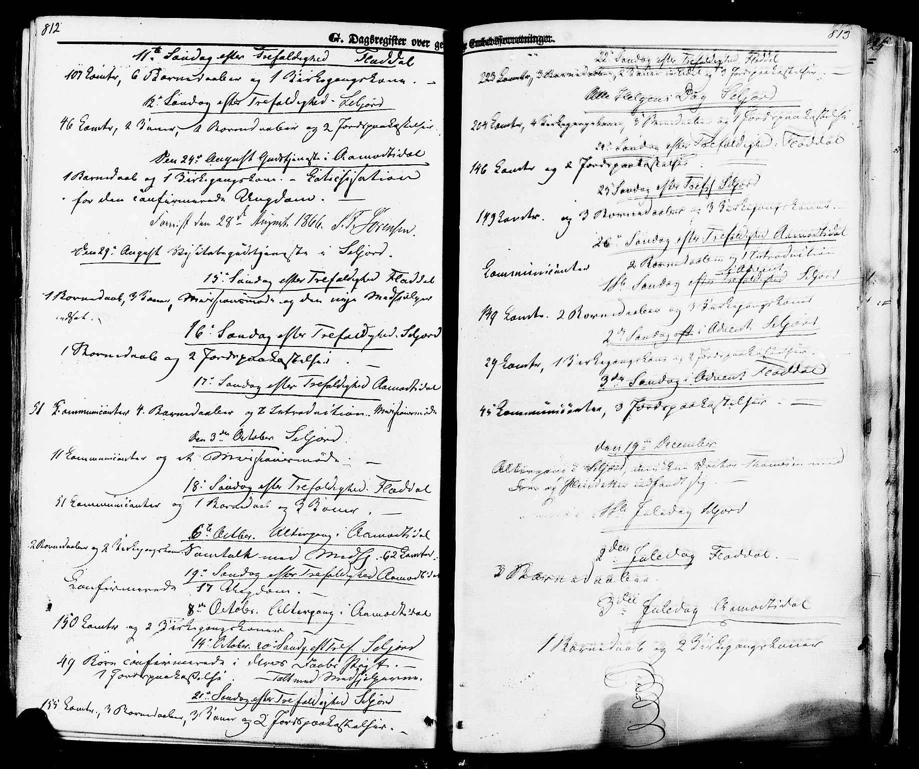 Seljord kirkebøker, SAKO/A-20/F/Fa/L0013: Parish register (official) no. I 13, 1866-1876, p. 812-813