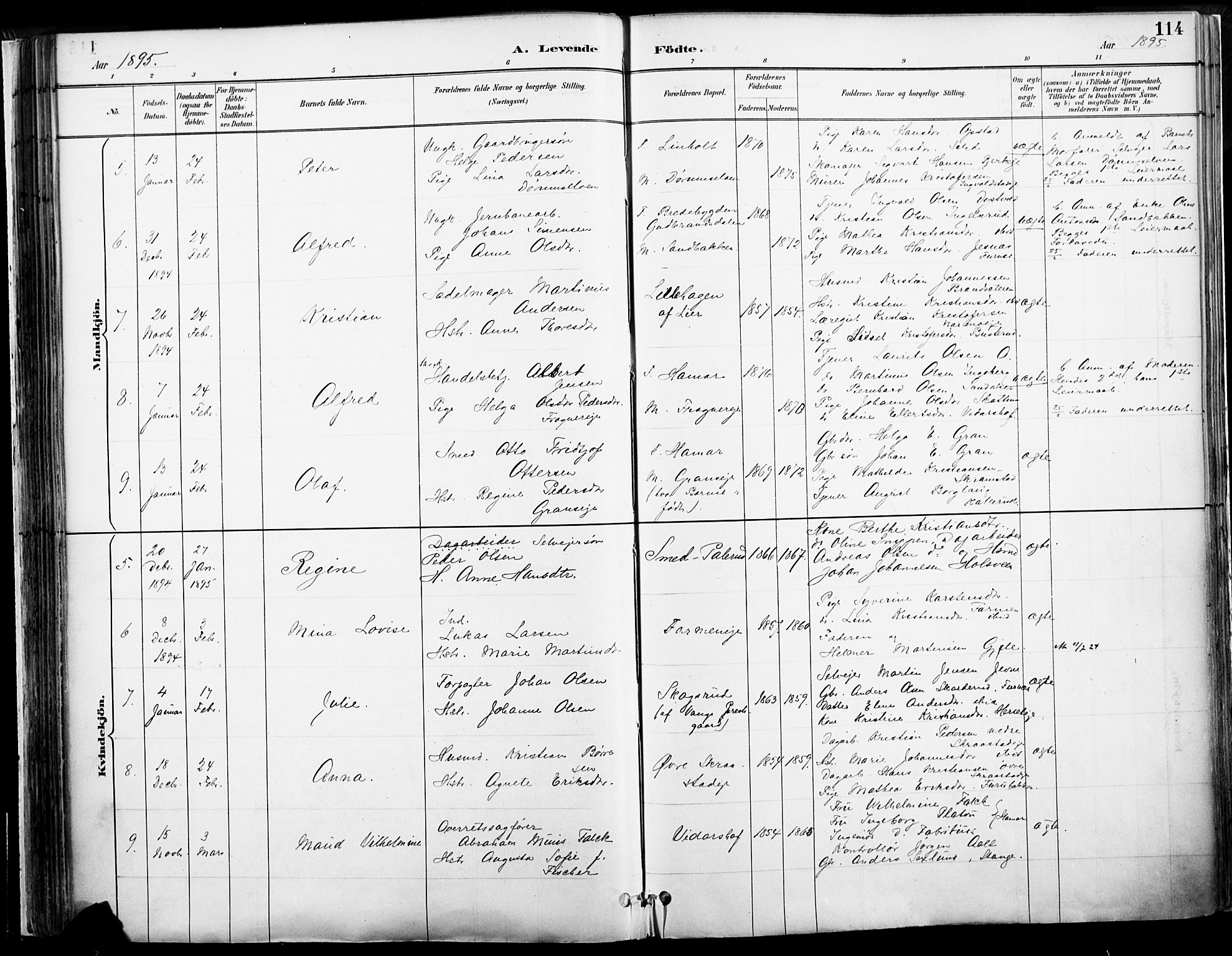 Vang prestekontor, Hedmark, SAH/PREST-008/H/Ha/Haa/L0019A: Parish register (official) no. 19, 1886-1900, p. 114