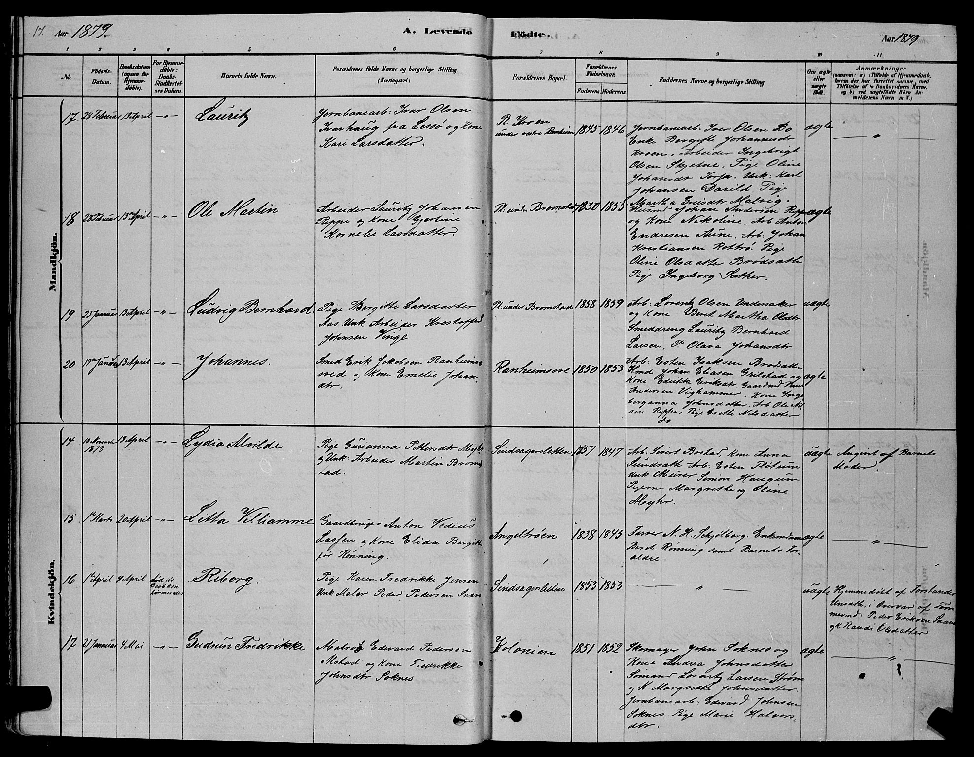 Ministerialprotokoller, klokkerbøker og fødselsregistre - Sør-Trøndelag, AV/SAT-A-1456/606/L0312: Parish register (copy) no. 606C08, 1878-1894, p. 17