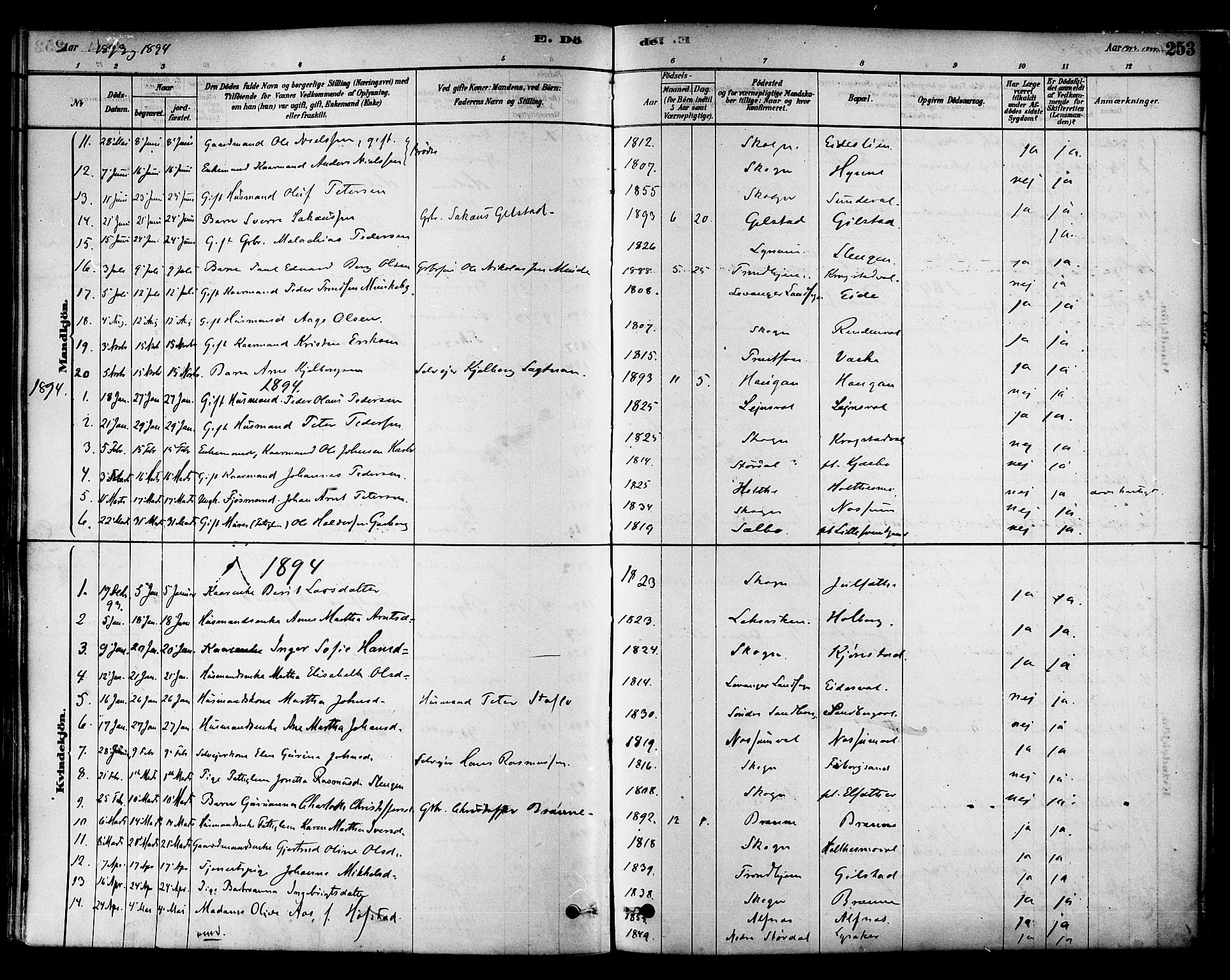 Ministerialprotokoller, klokkerbøker og fødselsregistre - Nord-Trøndelag, SAT/A-1458/717/L0159: Parish register (official) no. 717A09, 1878-1898, p. 253