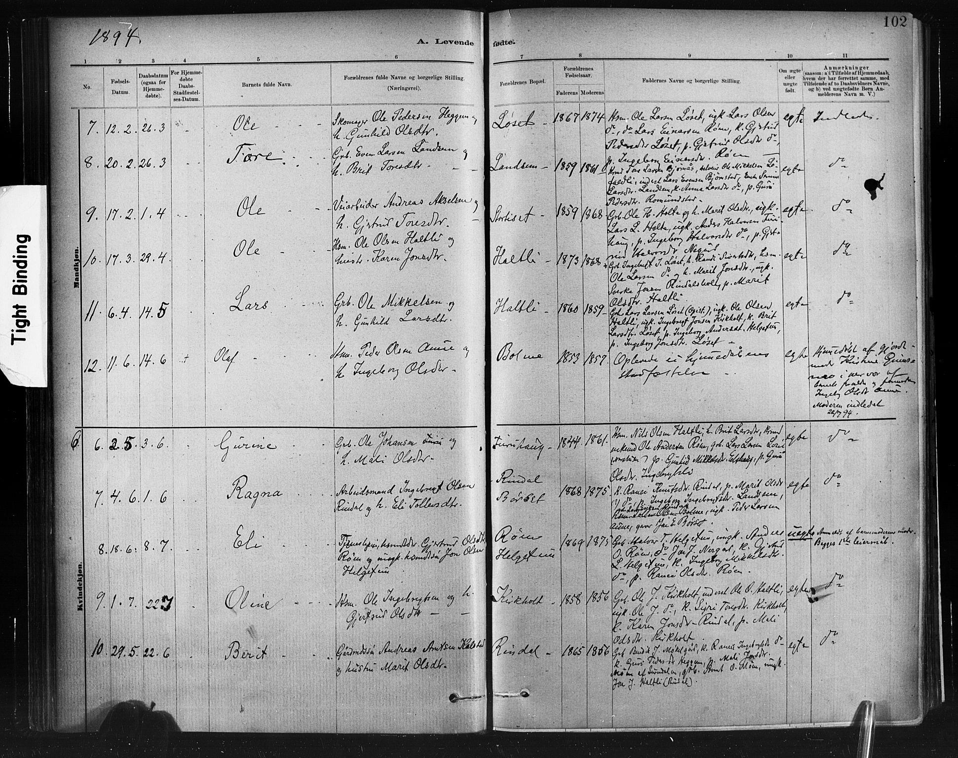 Ministerialprotokoller, klokkerbøker og fødselsregistre - Møre og Romsdal, AV/SAT-A-1454/598/L1069: Parish register (official) no. 598A03, 1882-1895, p. 102