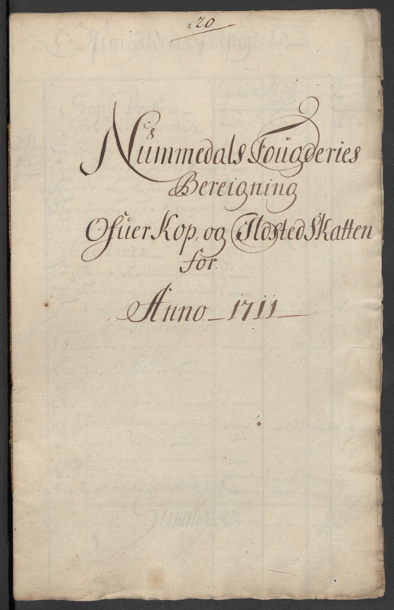 Rentekammeret inntil 1814, Reviderte regnskaper, Fogderegnskap, RA/EA-4092/R64/L4432: Fogderegnskap Namdal, 1711, p. 132