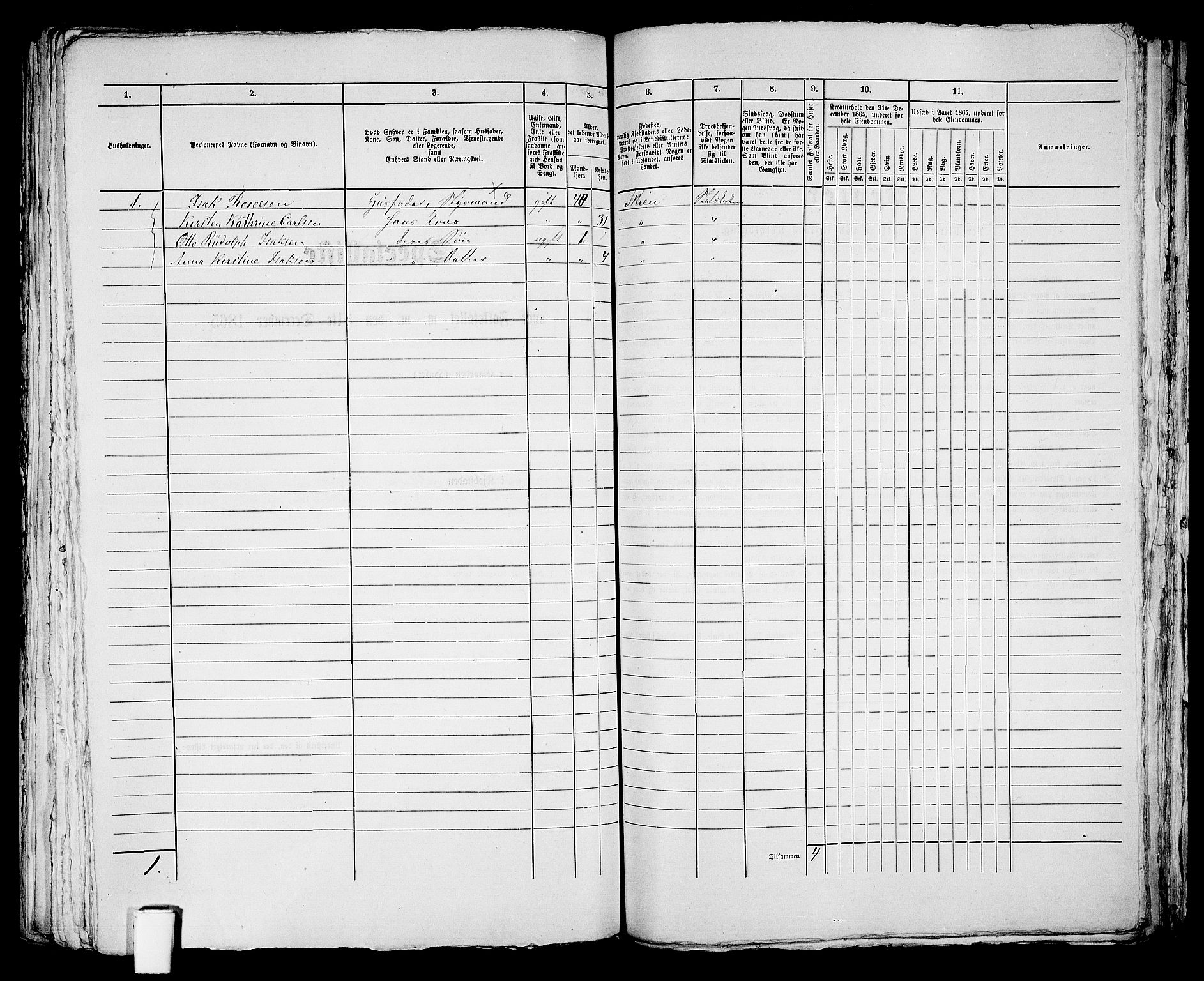 RA, 1865 census for Skien, 1865, p. 1110