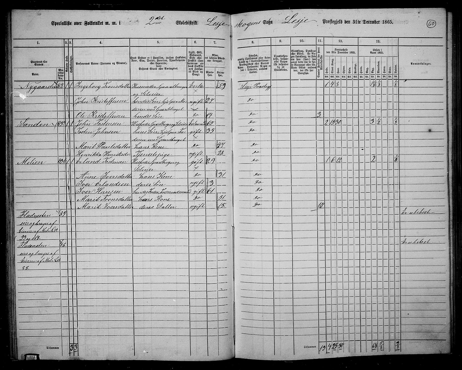 RA, 1865 census for Lesja, 1865, p. 55