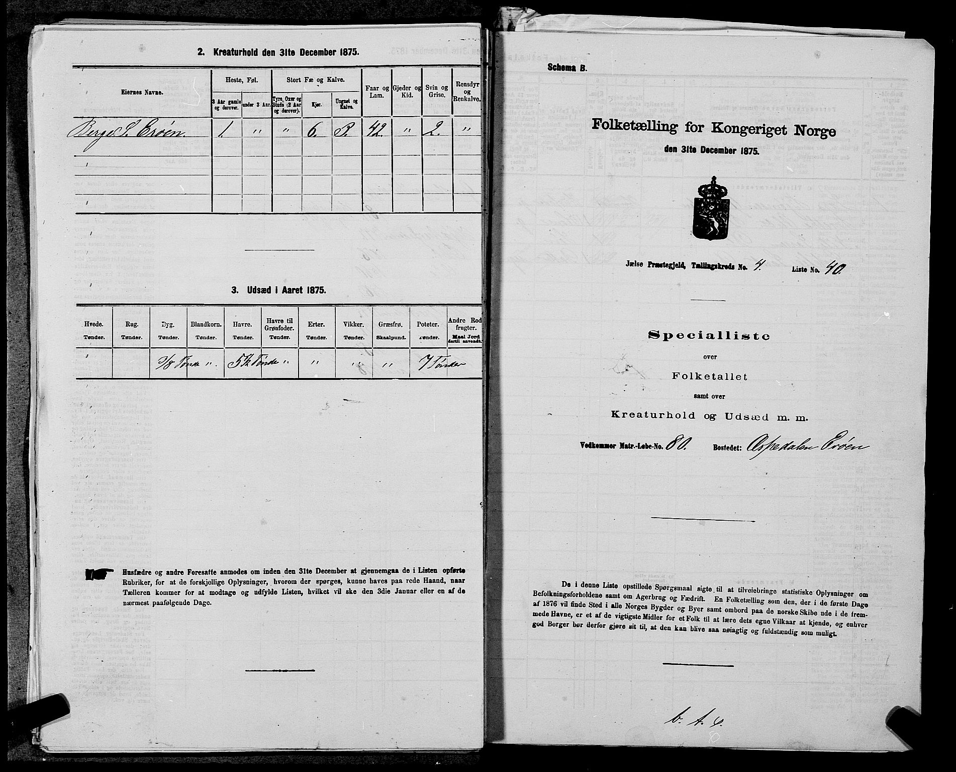 SAST, 1875 census for 1138P Jelsa, 1875, p. 404