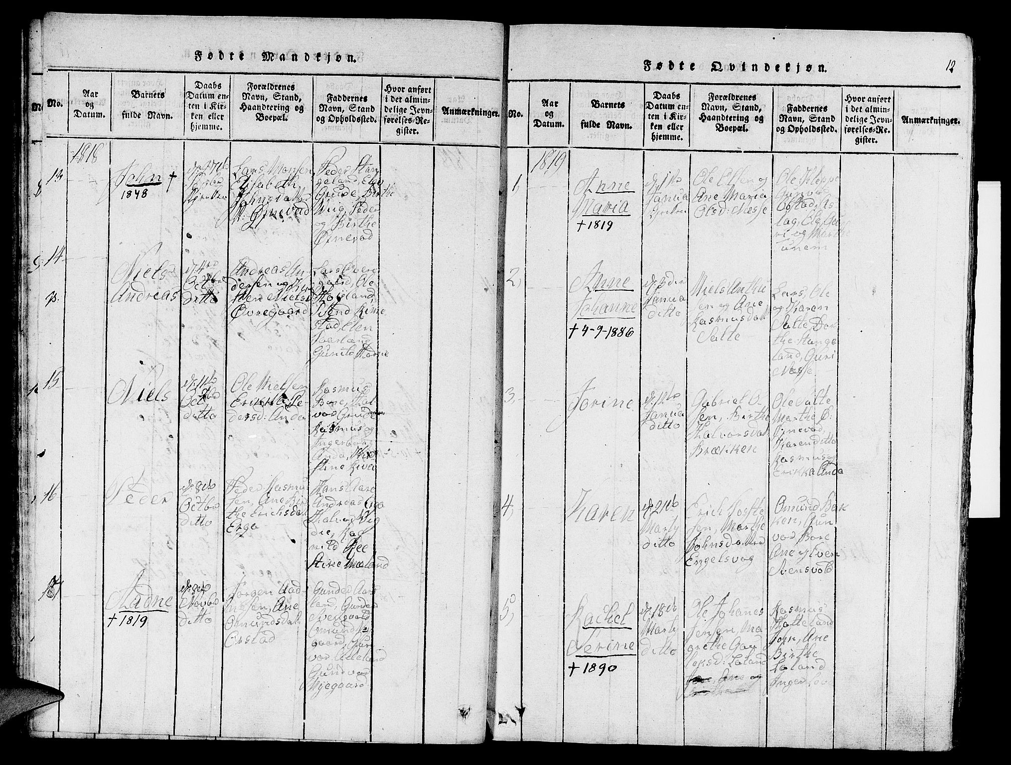 Klepp sokneprestkontor, SAST/A-101803/001/3/30BA/L0002: Parish register (official) no. A 2, 1816-1833, p. 12