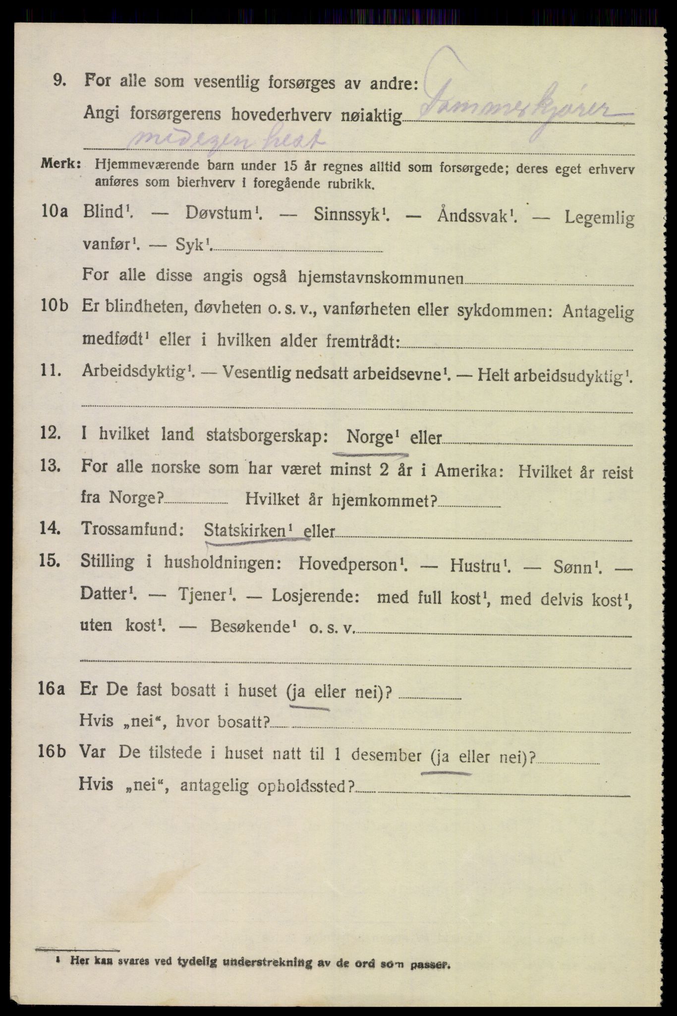 SAH, 1920 census for Åsnes, 1920, p. 14025