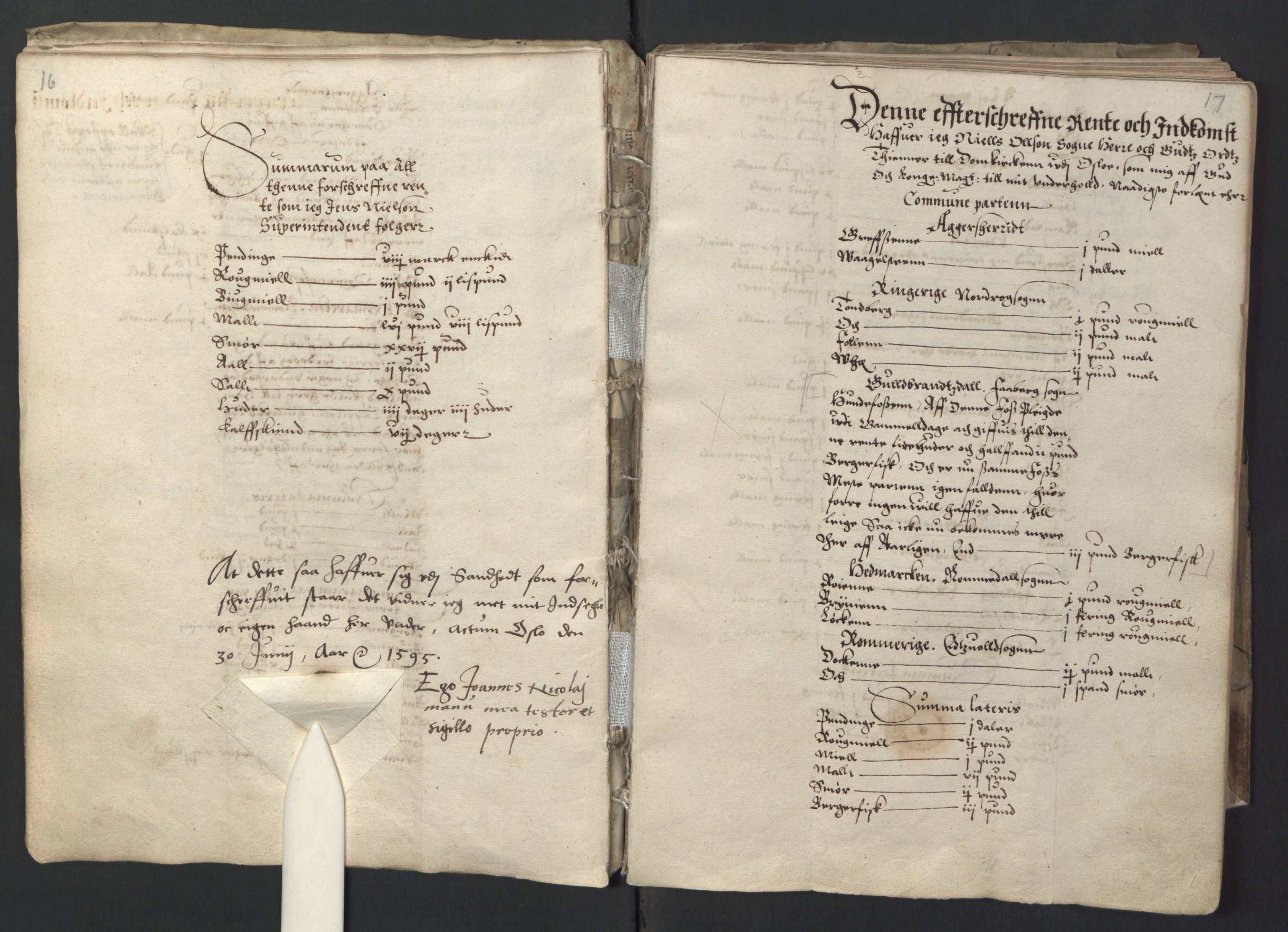 Stattholderembetet 1572-1771, AV/RA-EA-2870/Ek/L0001/0001: Jordebøker før 1624 og til utligning av garnisonsskatt 1624-1626: / Jordebok for Oslo kapitel, 1595, p. 13