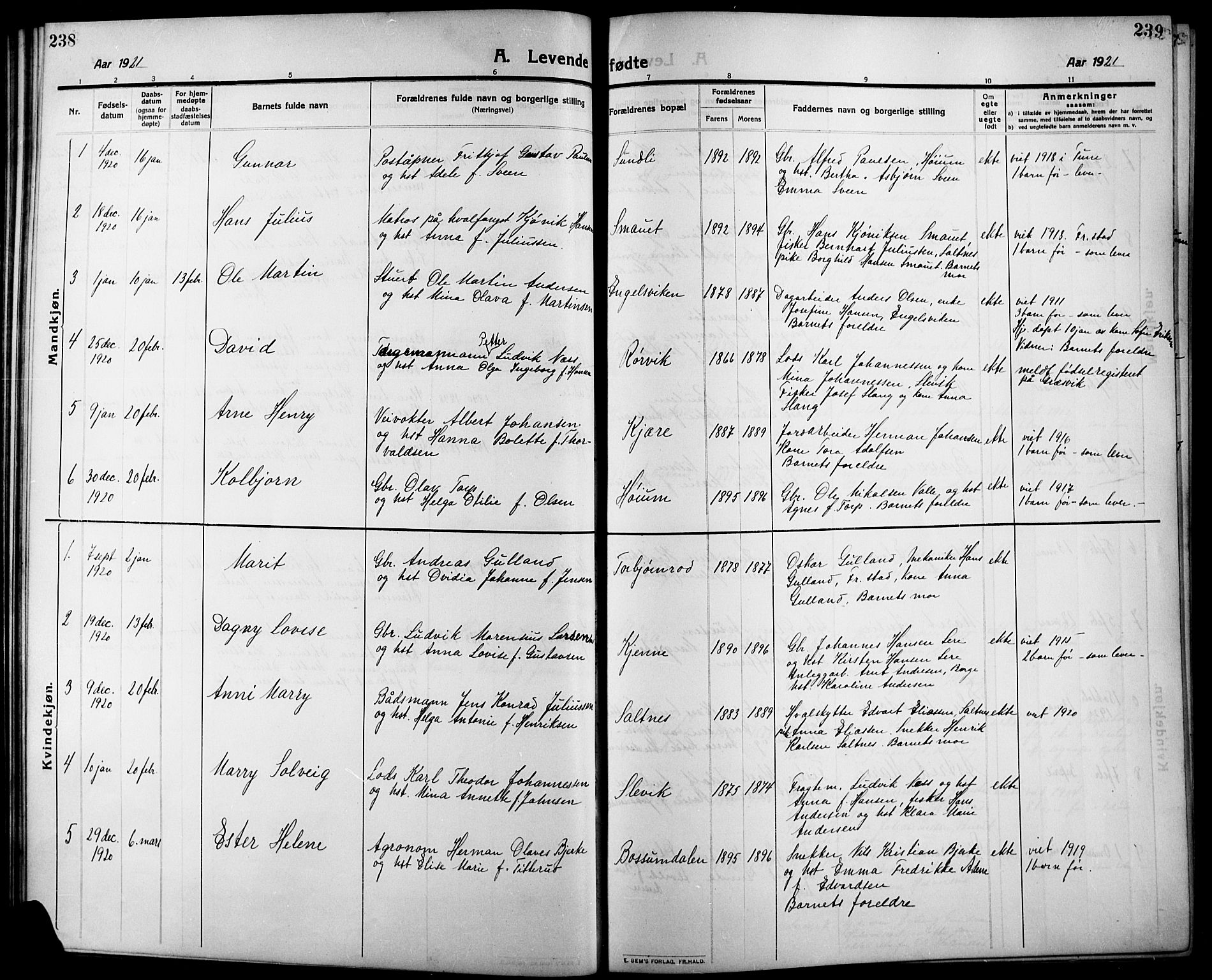Onsøy prestekontor Kirkebøker, SAO/A-10914/G/Ga/L0003: Parish register (copy) no. I 3, 1910-1926, p. 238-239