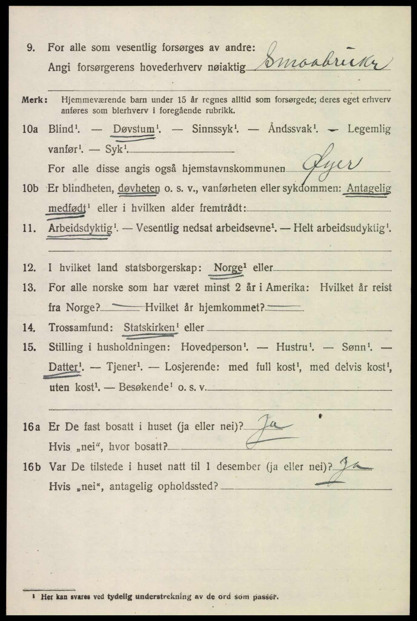 SAH, 1920 census for Øyer, 1920, p. 6707