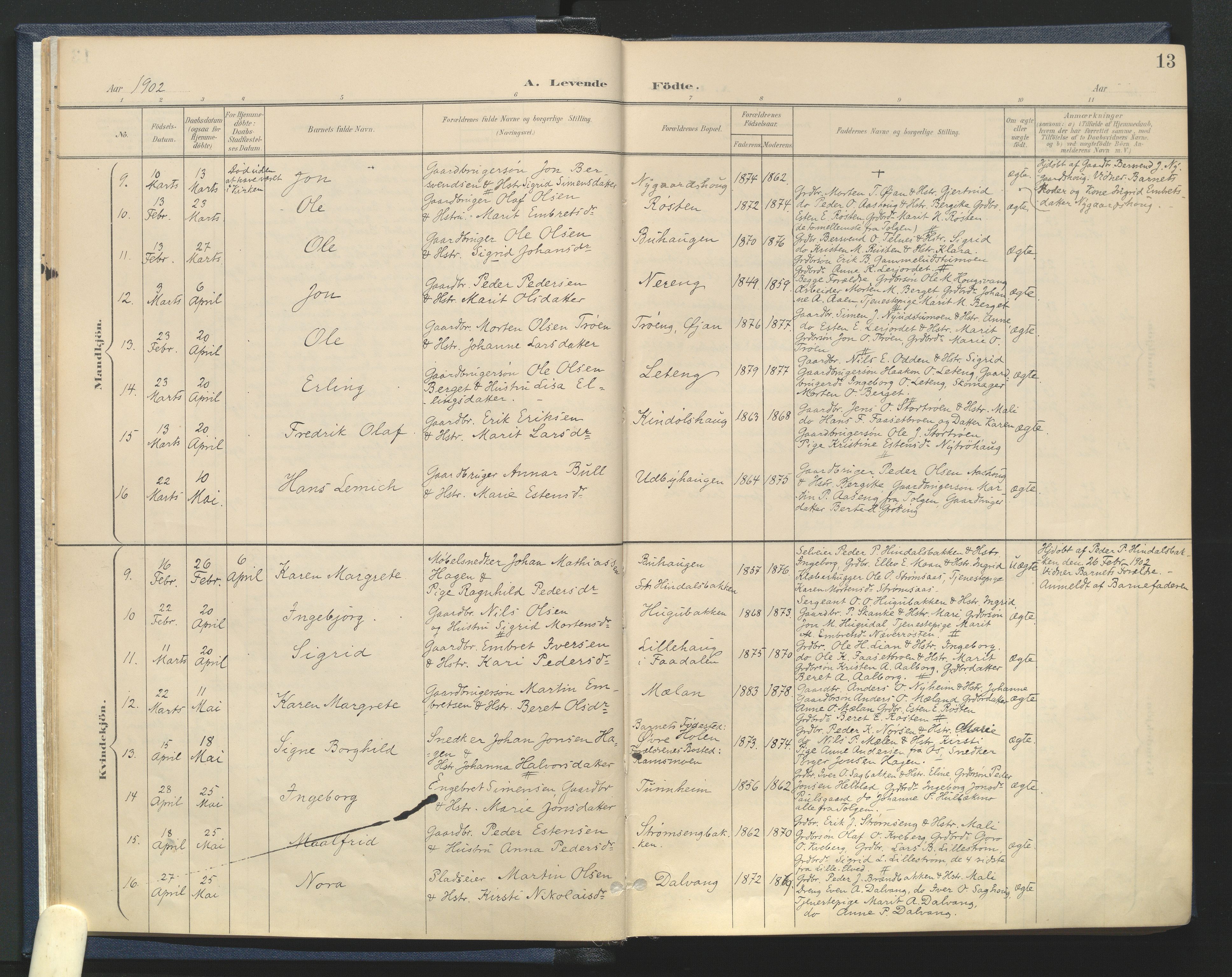 Tynset prestekontor, AV/SAH-PREST-058/H/Ha/Haa/L0025: Parish register (official) no. 25, 1900-1914, p. 13