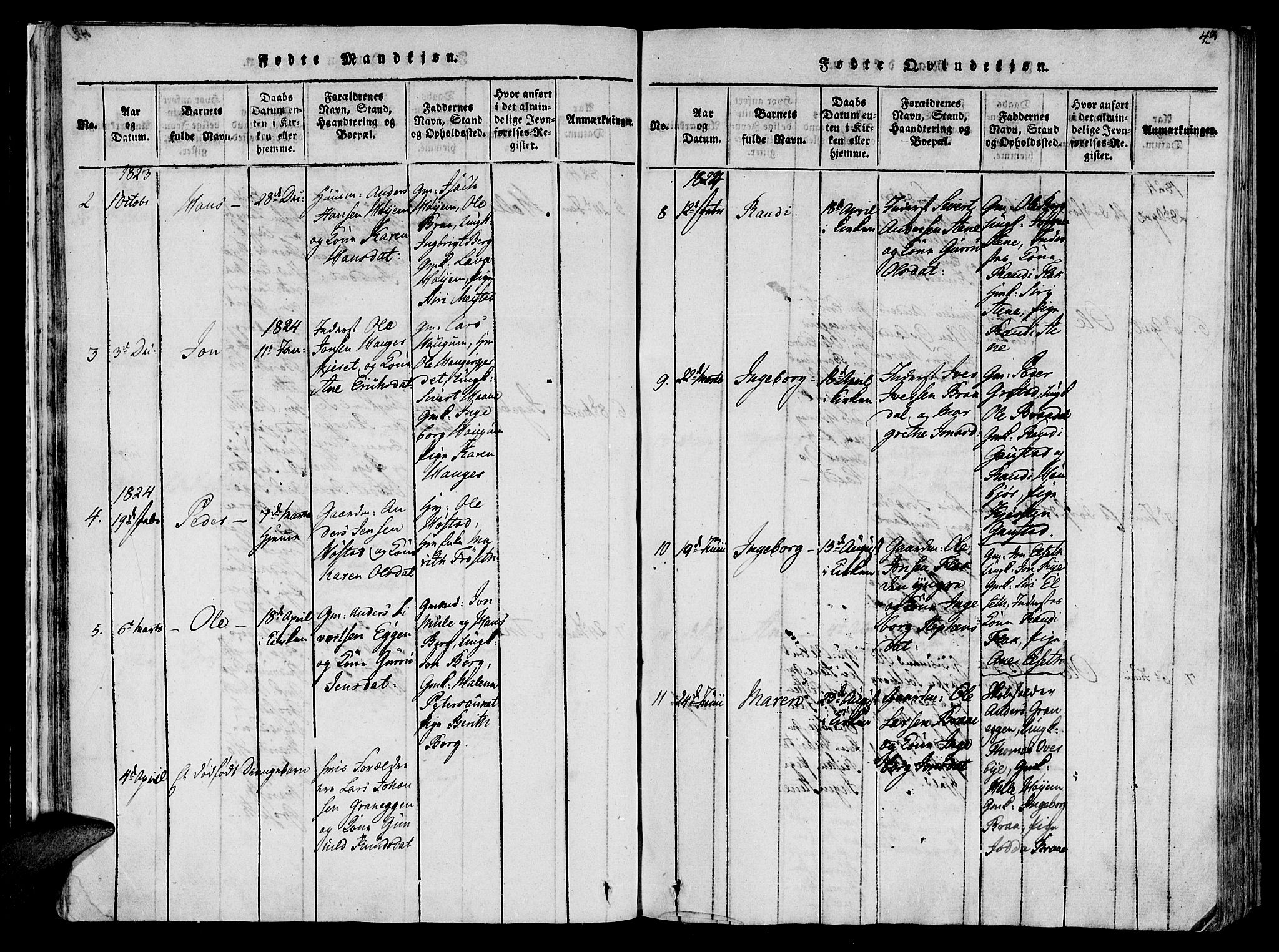 Ministerialprotokoller, klokkerbøker og fødselsregistre - Sør-Trøndelag, SAT/A-1456/612/L0372: Parish register (official) no. 612A06 /1, 1816-1828, p. 43