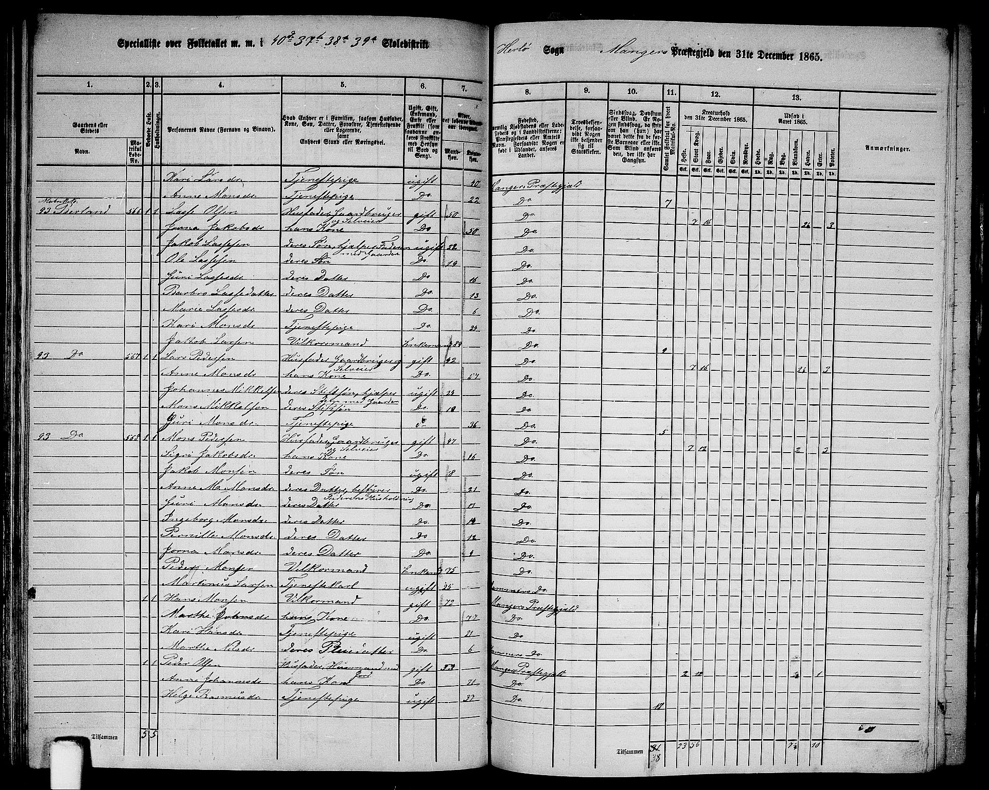 RA, 1865 census for Manger, 1865, p. 154