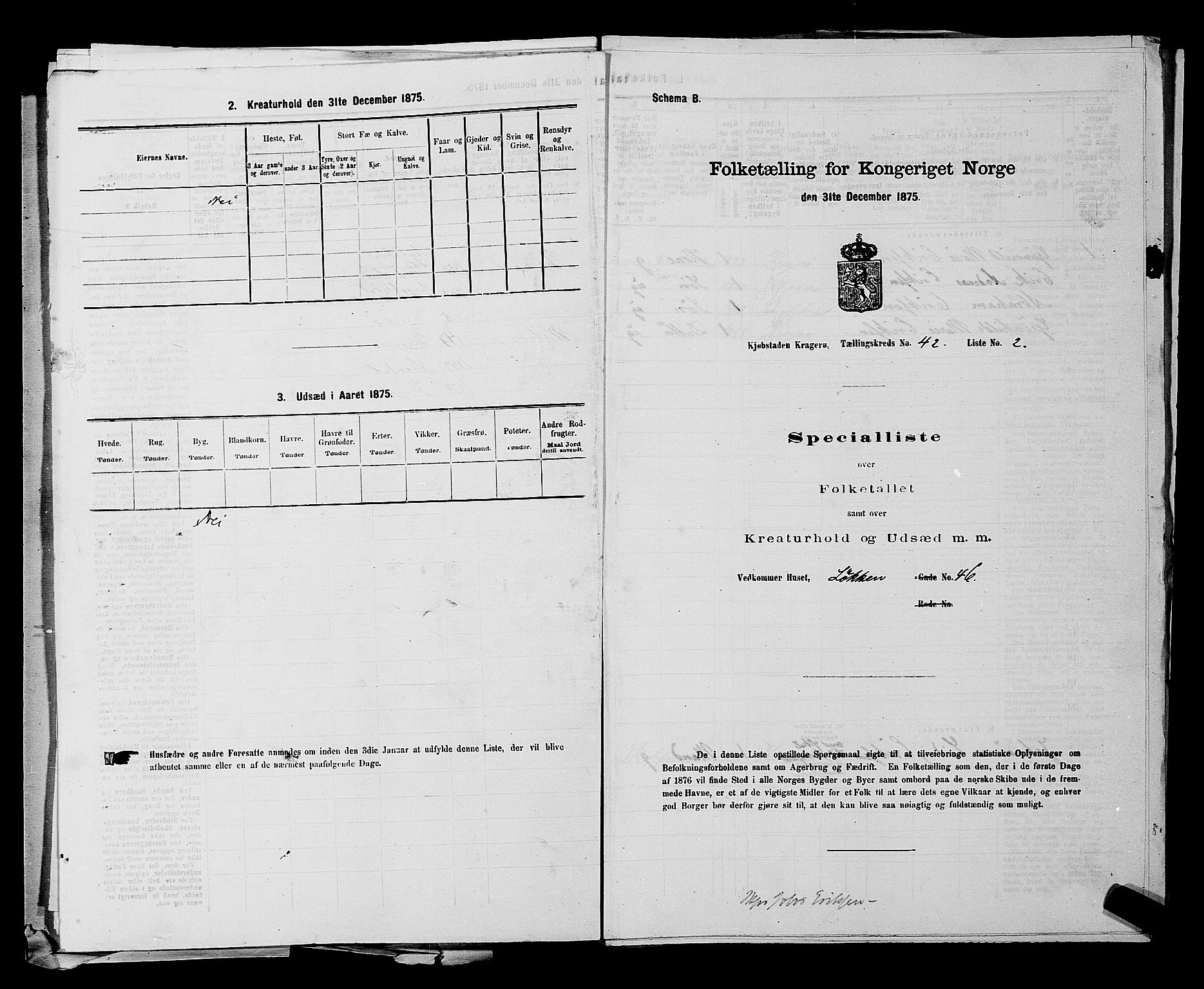 SAKO, 1875 census for 0801P Kragerø, 1875, p. 920