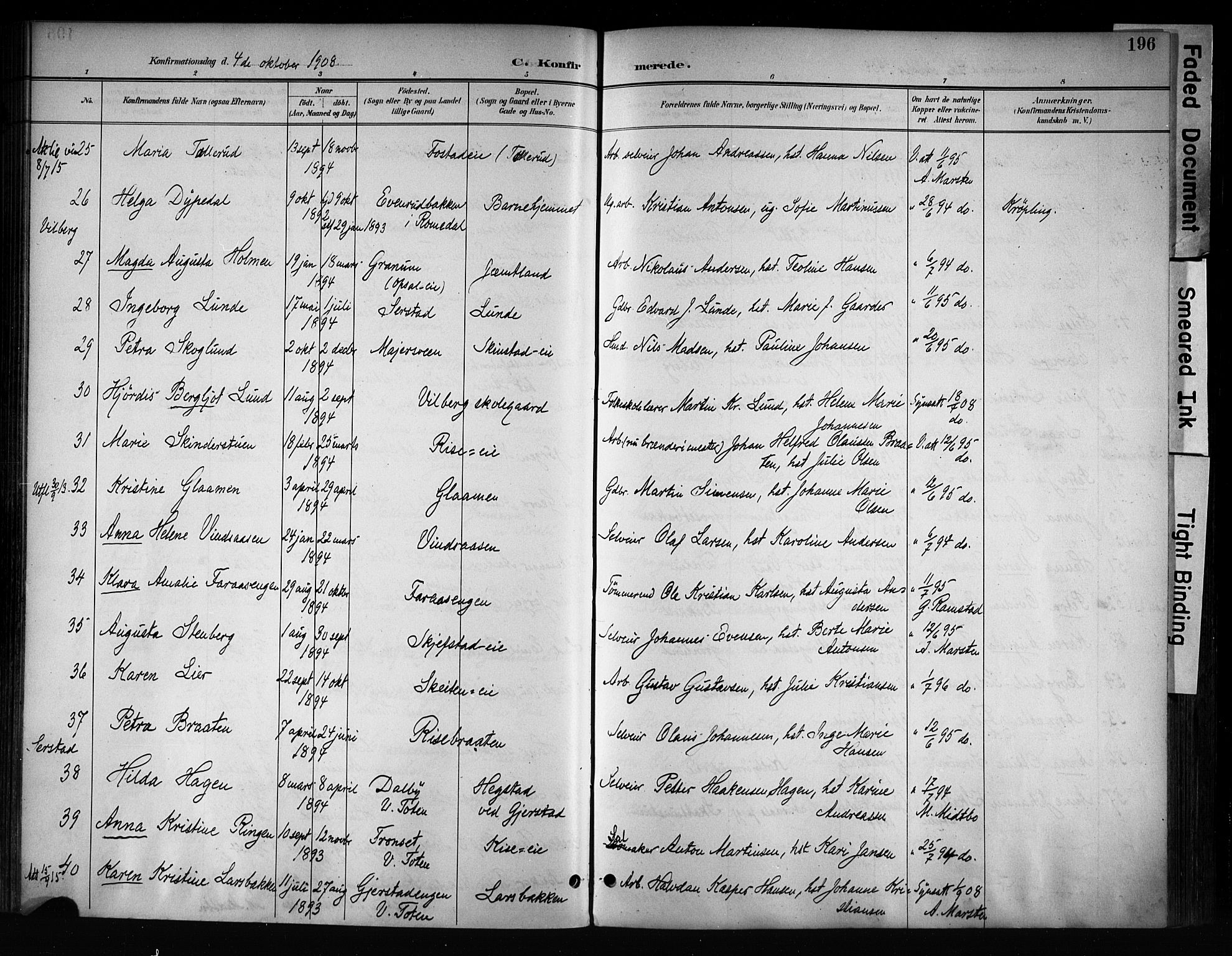 Østre Toten prestekontor, AV/SAH-PREST-104/H/Ha/Haa/L0008: Parish register (official) no. 8, 1897-1909, p. 196